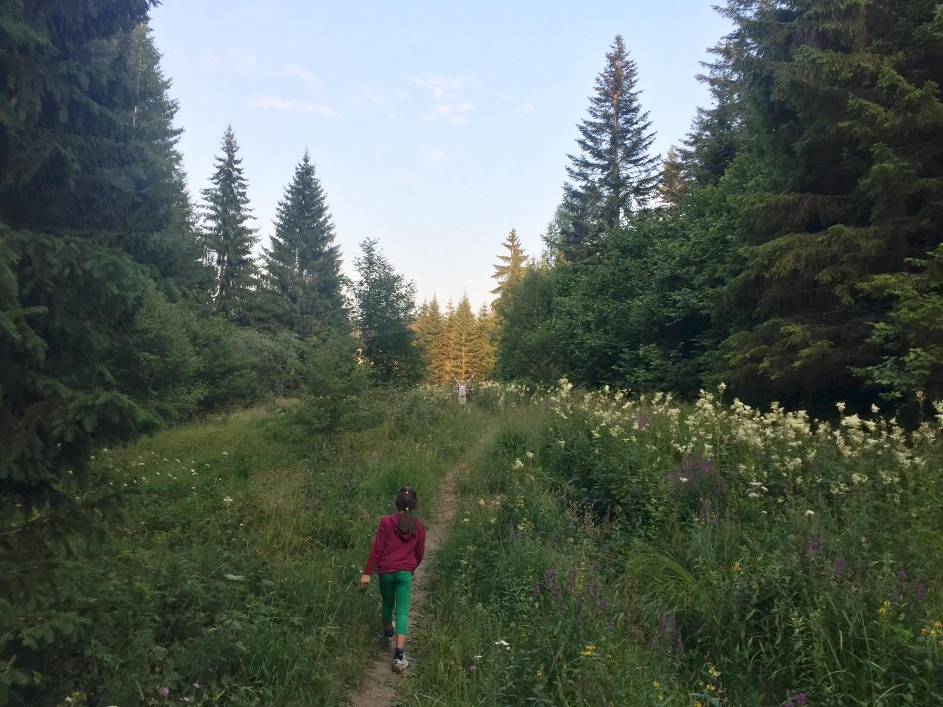 Photo 30