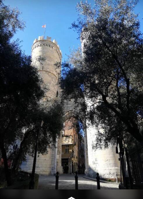 Photo 27