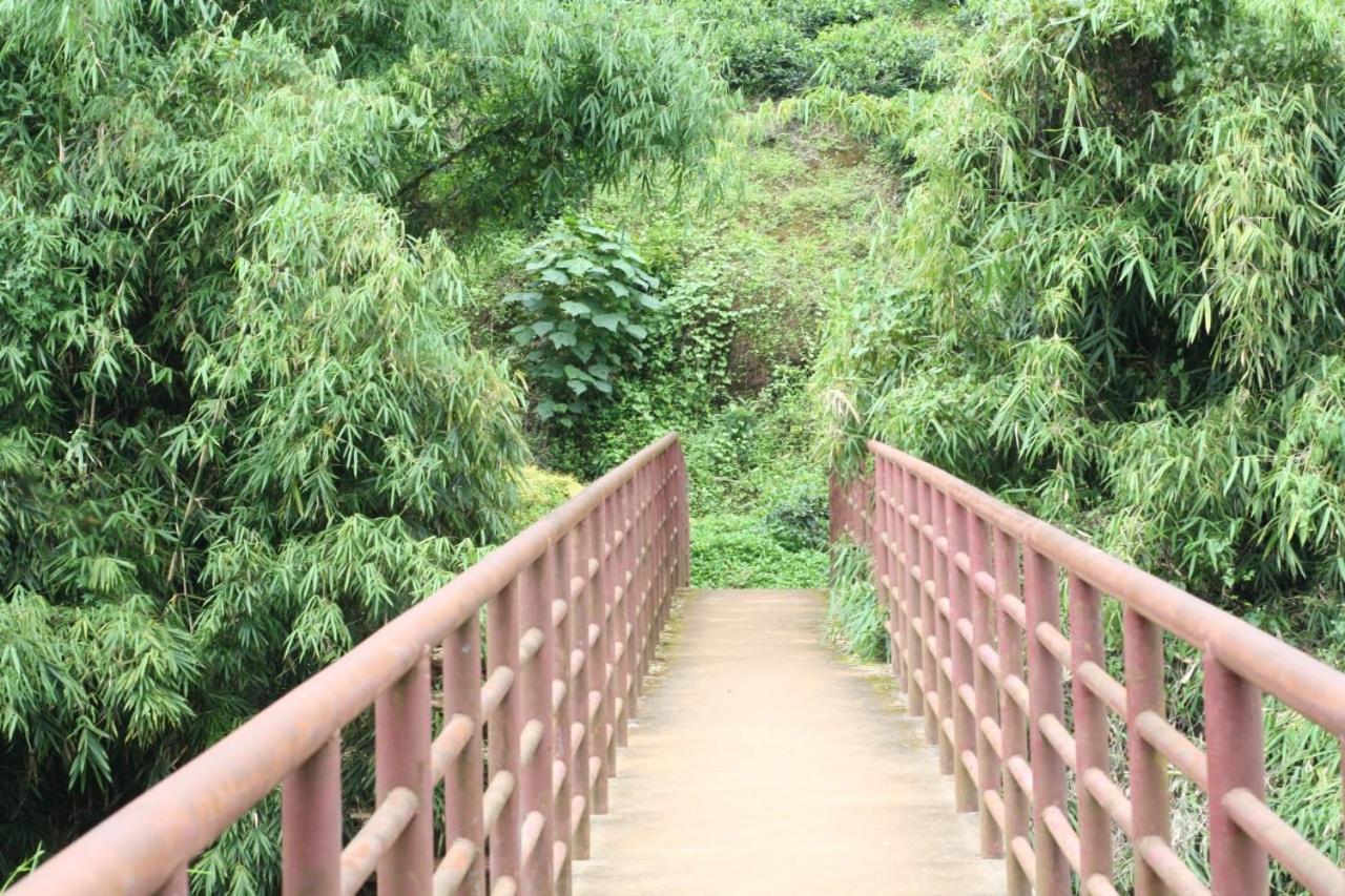 Vythiri Green Meadows-one zero one view 3