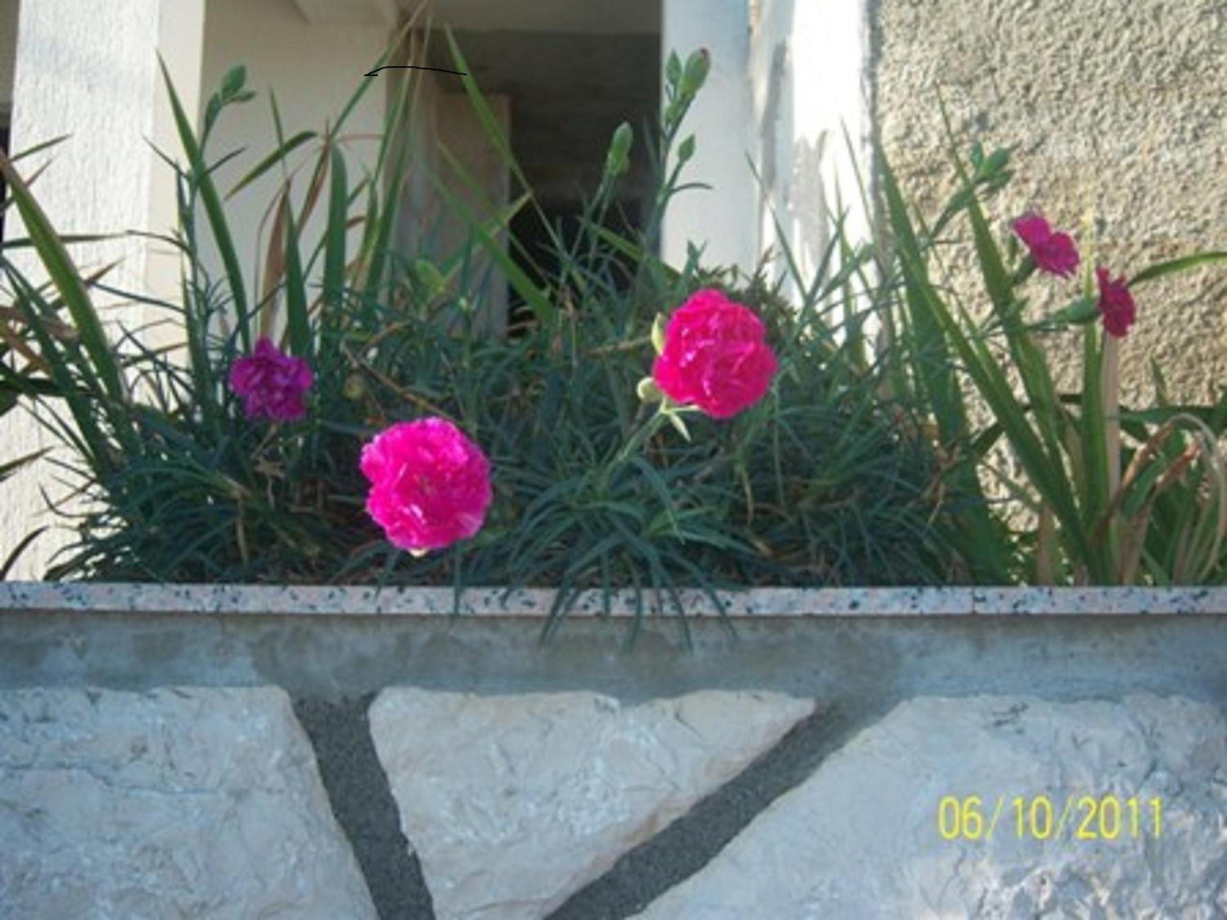 Photo 62