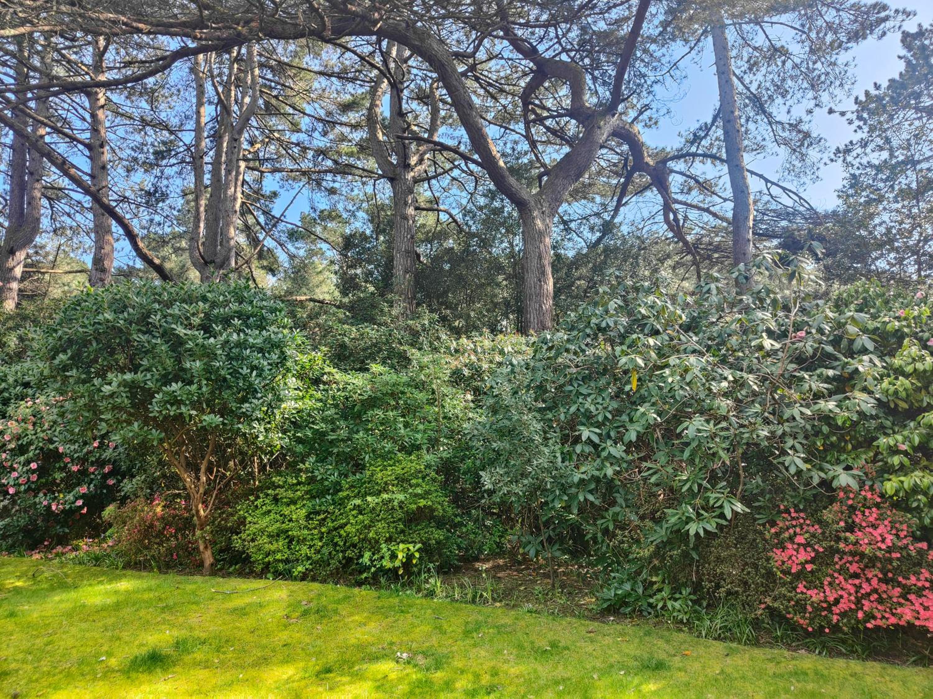 Self-contained flat, off street parking close to town and beach view 2