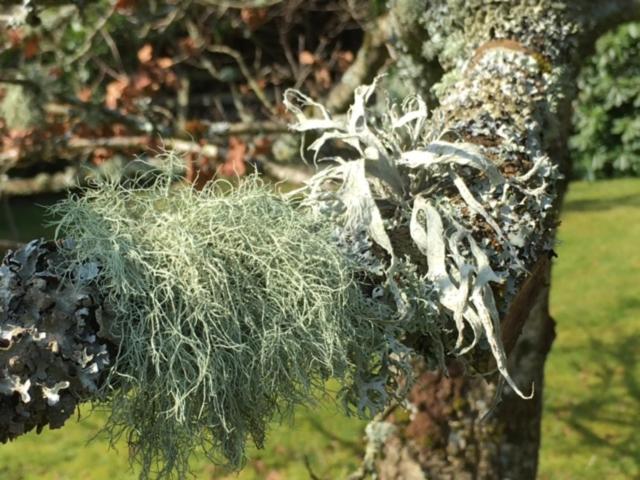 Photo 72
