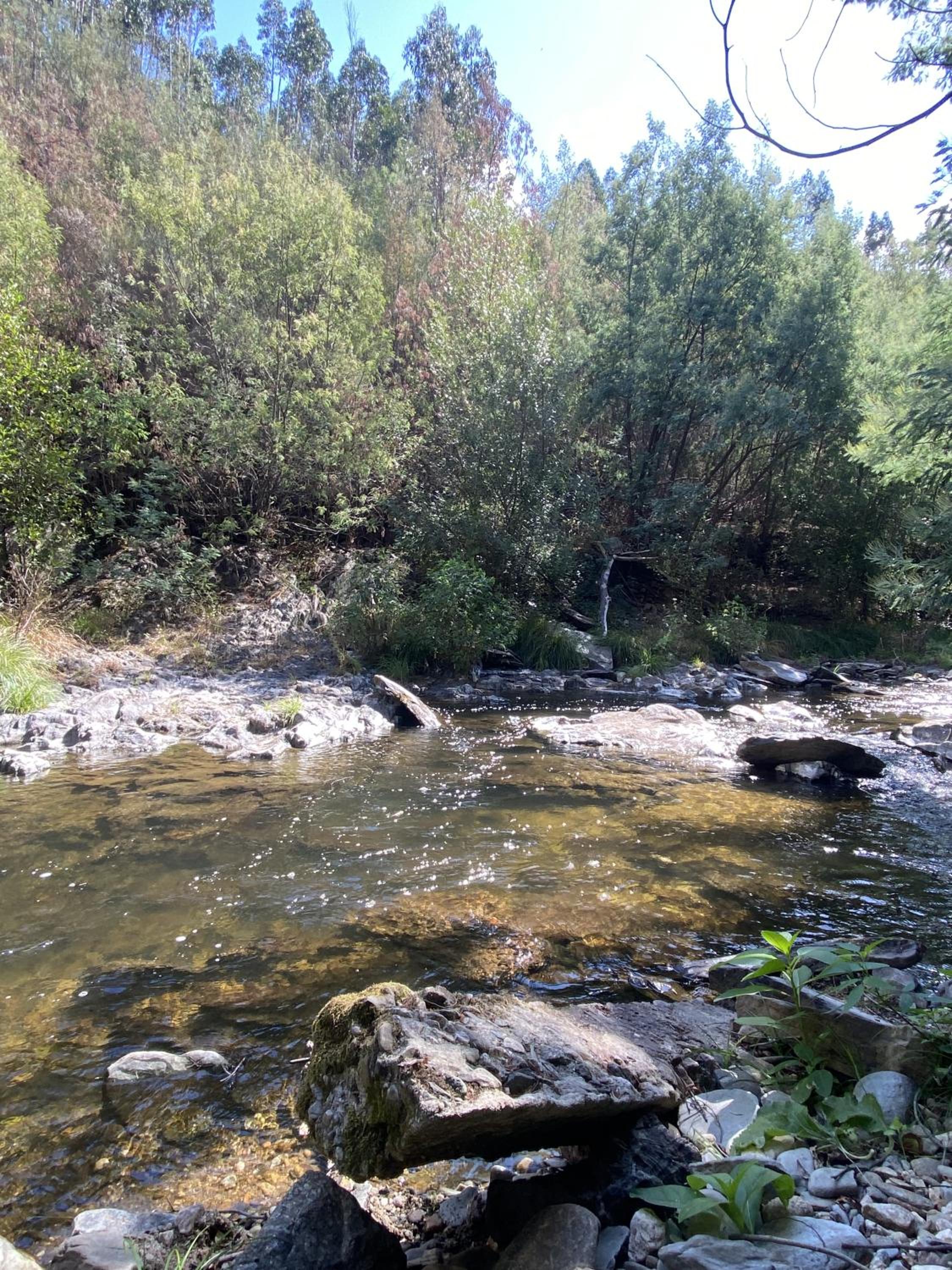 Photo 32