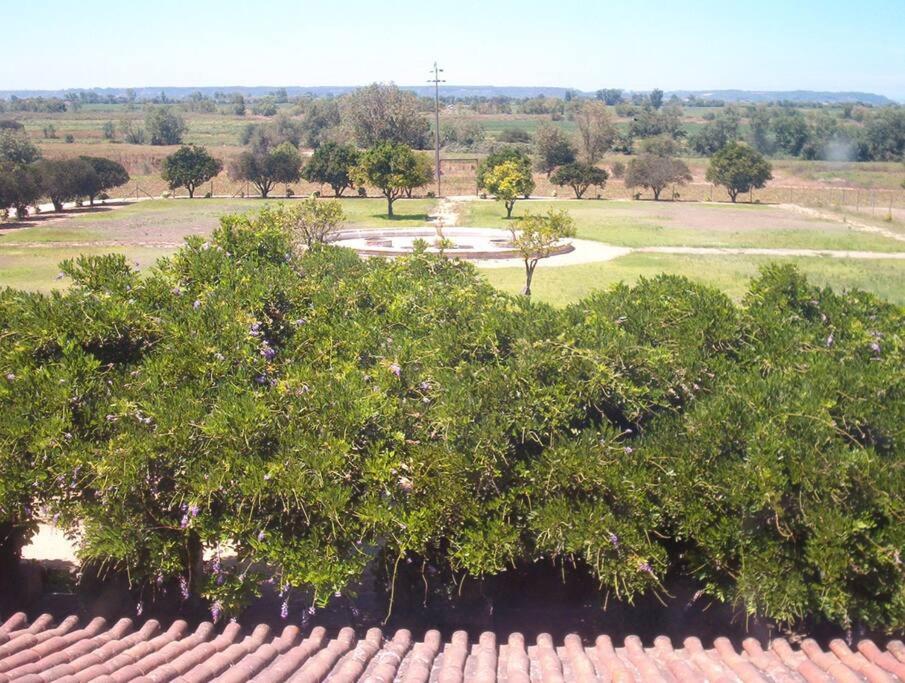 Quinta do Casalinho - Benfica do Ribatejo