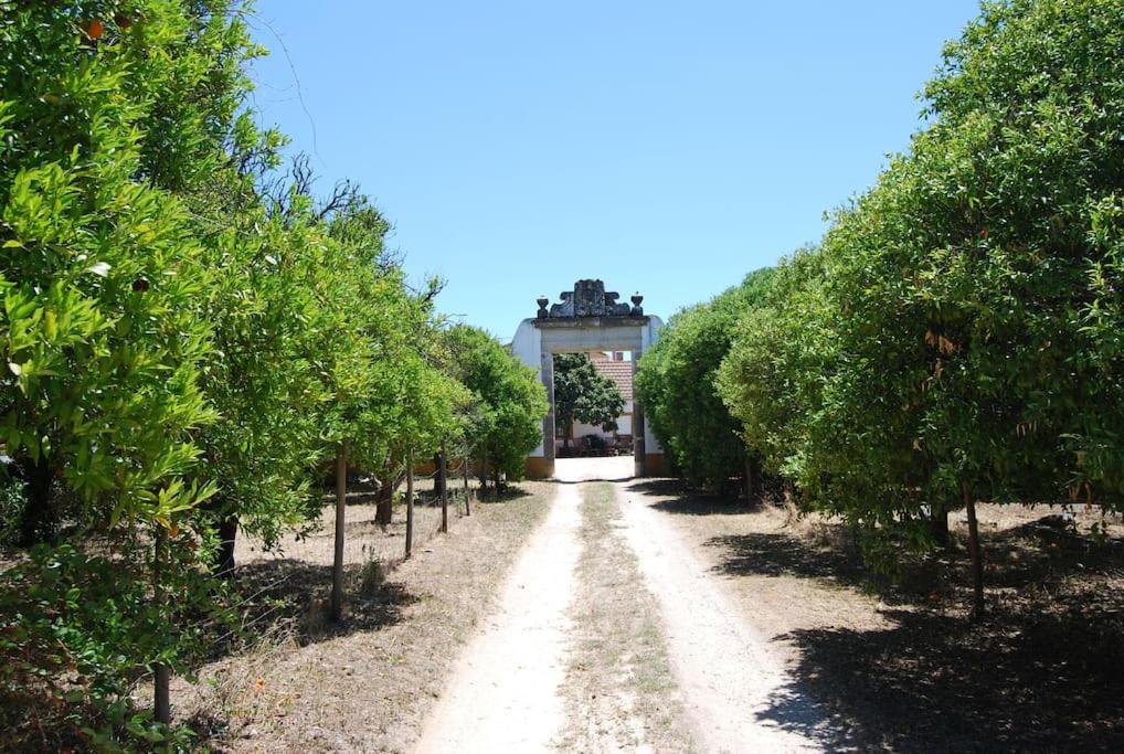 Quinta do Casalinho - Benfica do Ribatejo