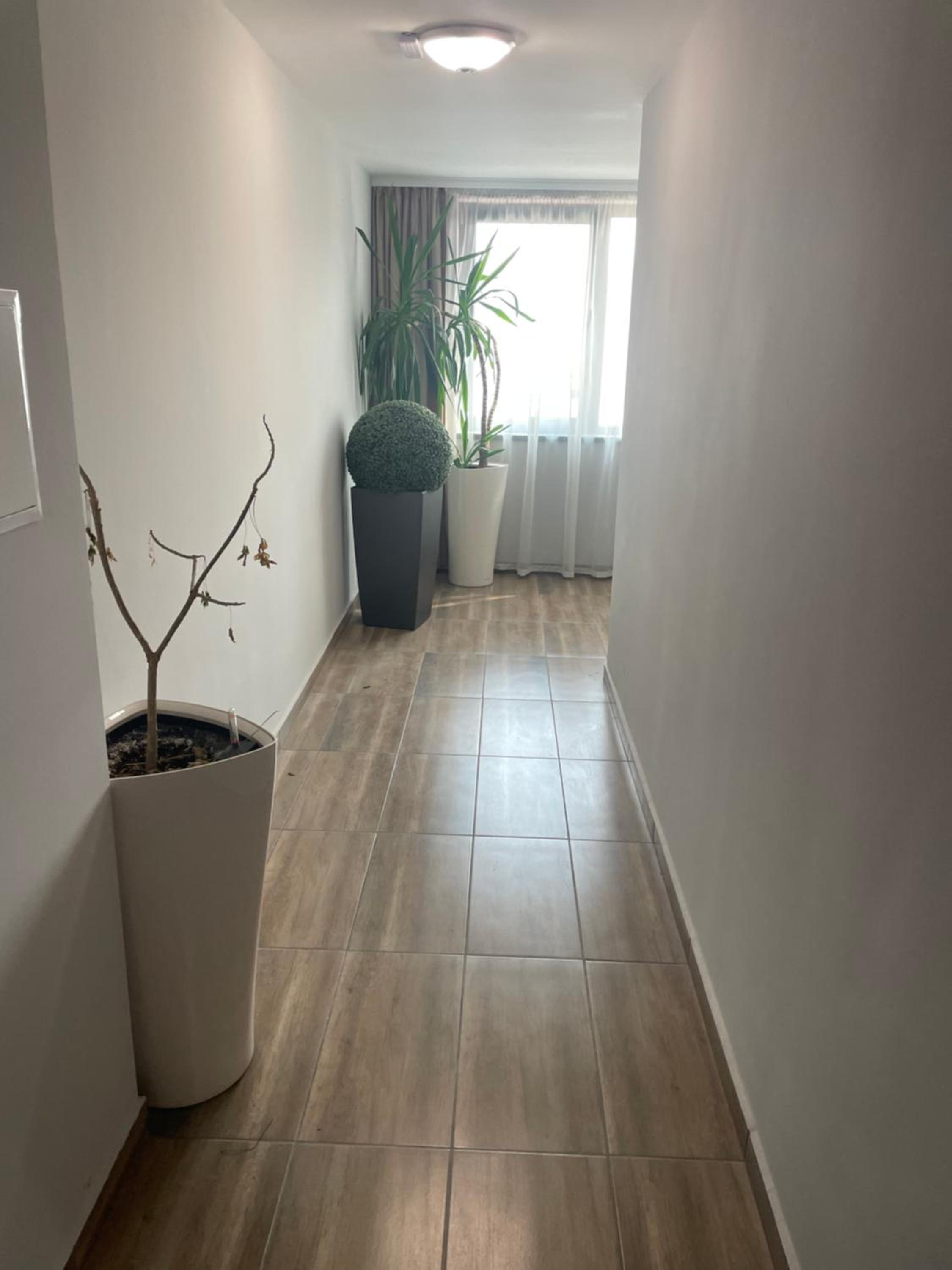 Teddy Apartment
