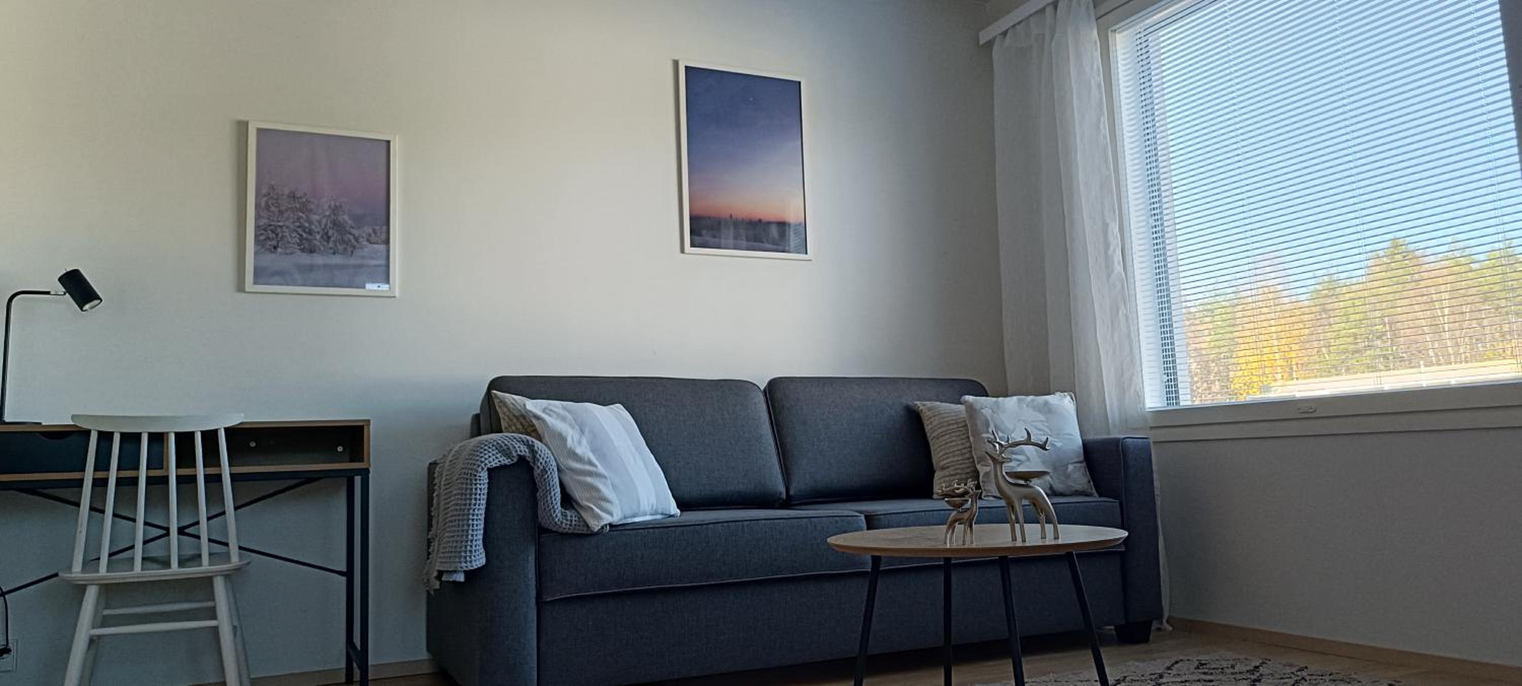 Kodikas huoneisto, oma sauna, ilmainen pysäköinti