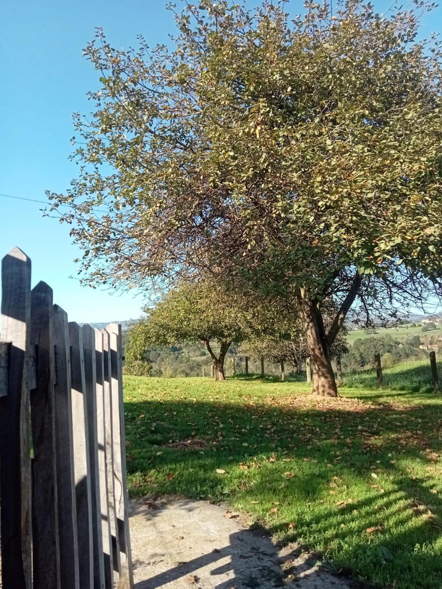 Casa Boni y Florina