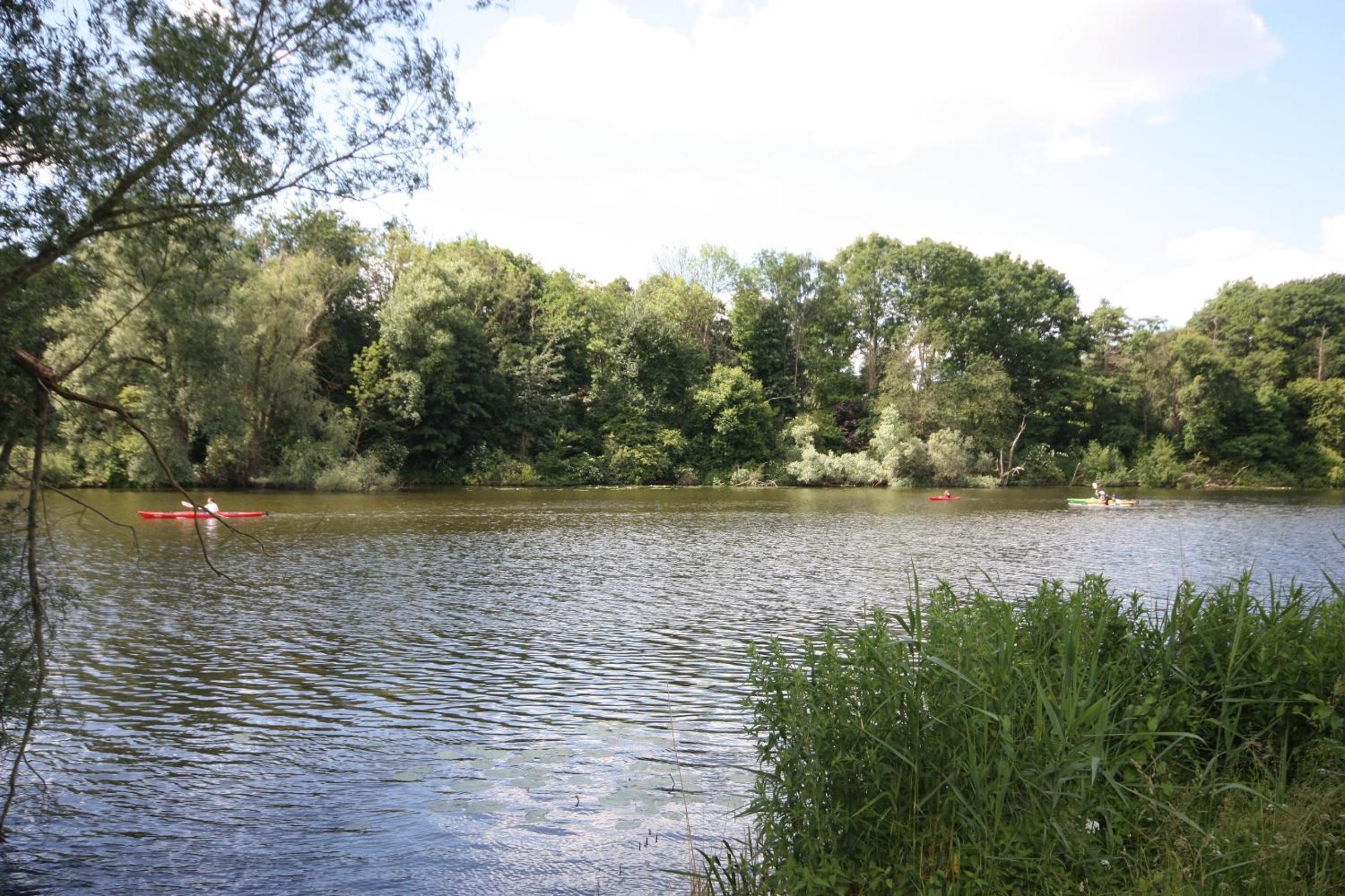 Photo 24
