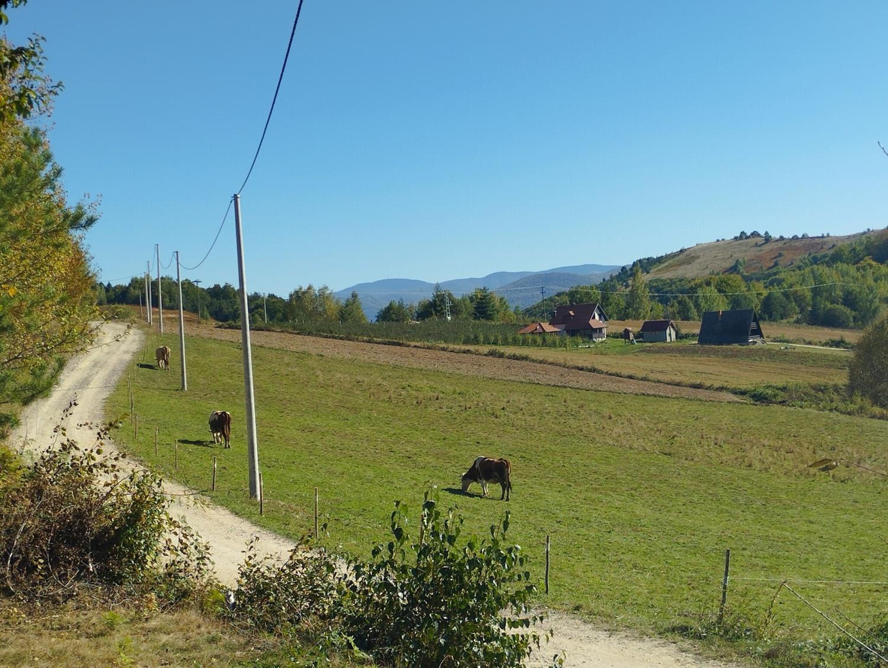Brvnare Kušići