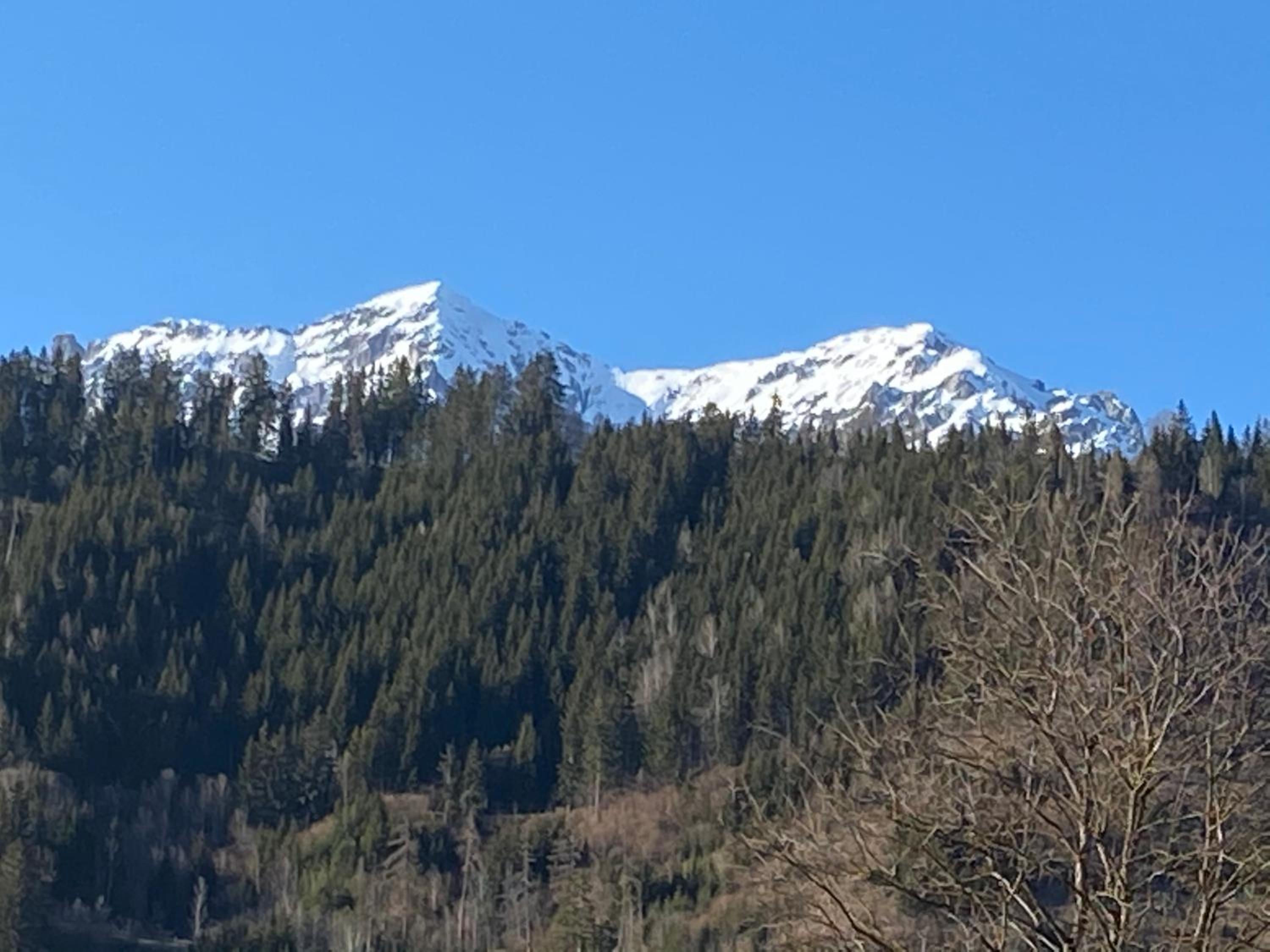 Chalet Alma