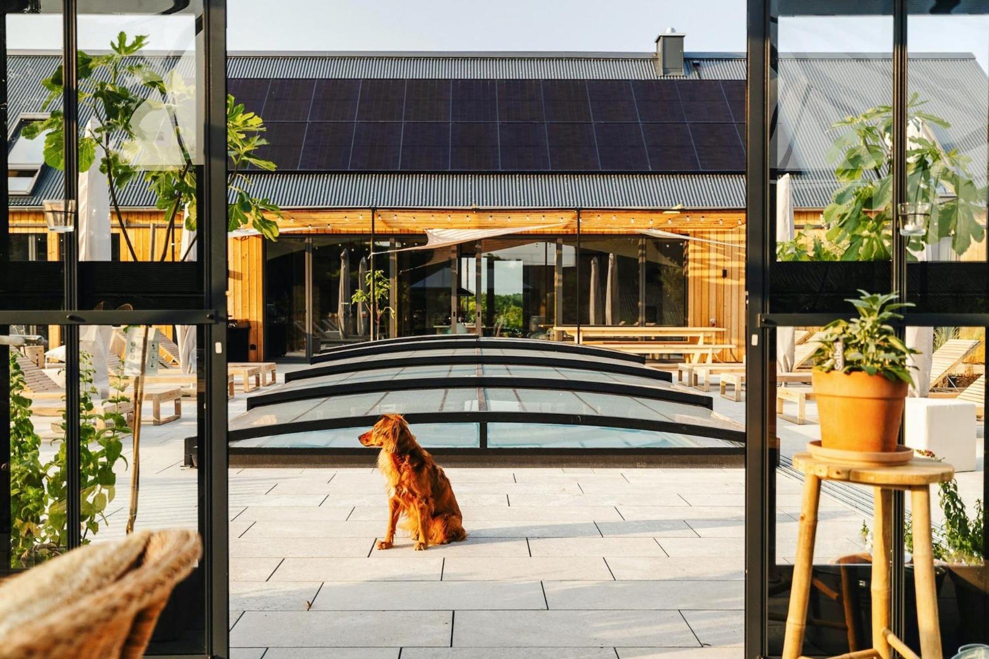 Das Farmhaus - Premium Ferienhaus - Auf den Moselhöhen - Pool, Sauna, Kino, Garten