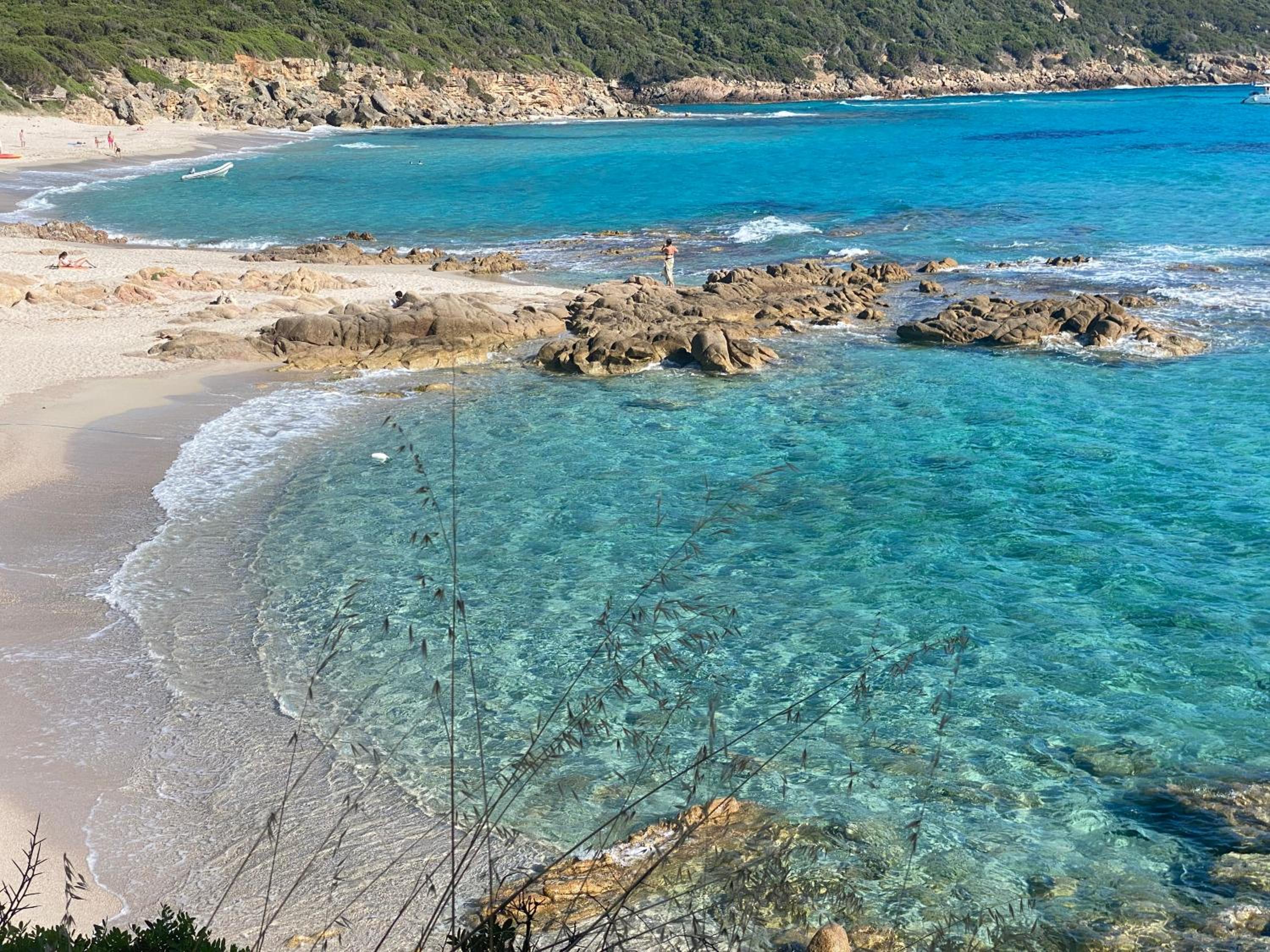 Fiore di Machja