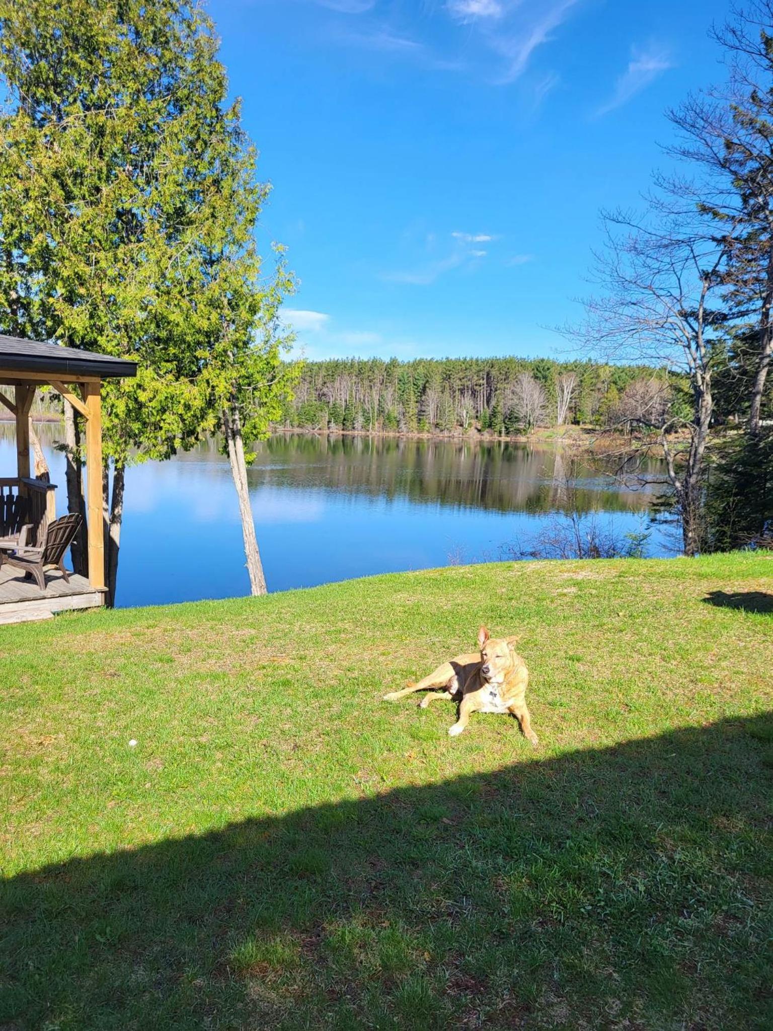 BowLakeHouse - Lakefront Cottage with Beach