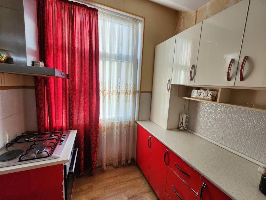 Apartment on David Aghmashenebeli Avenue