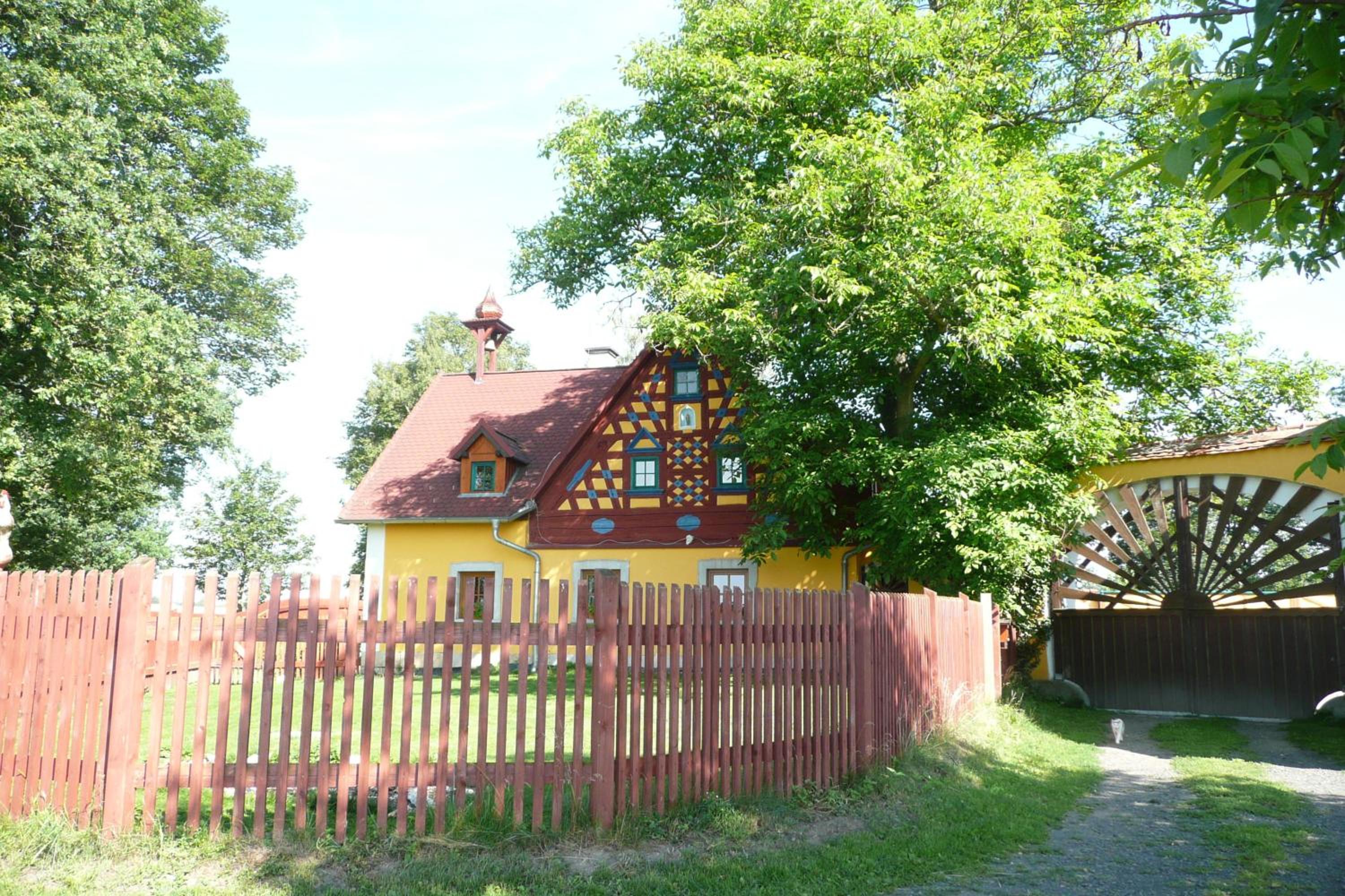 Photo 45