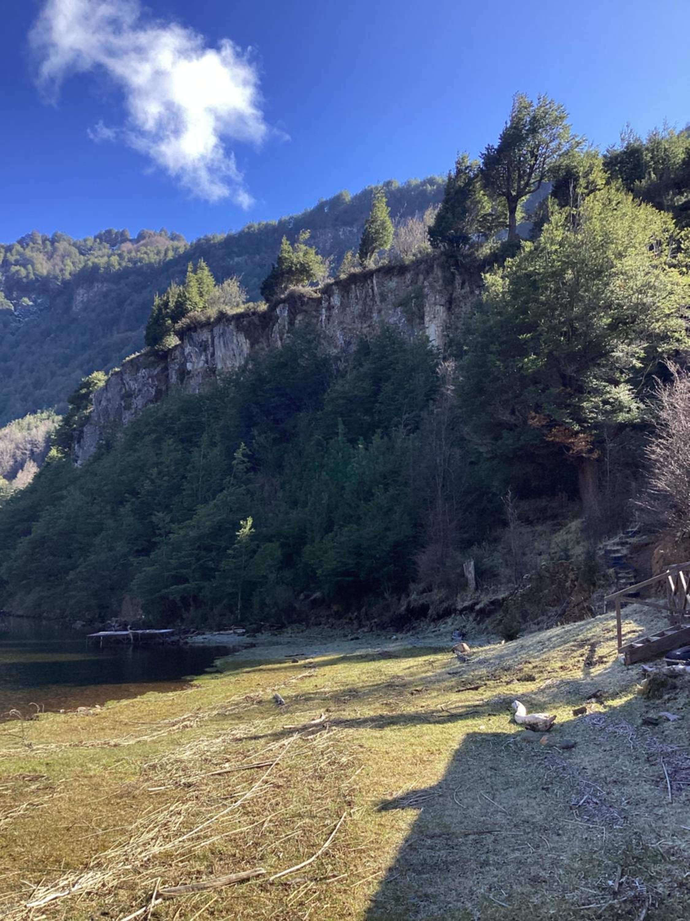 Tierras Altas de la Patagonia- Cabaña mediana con acceso al lago