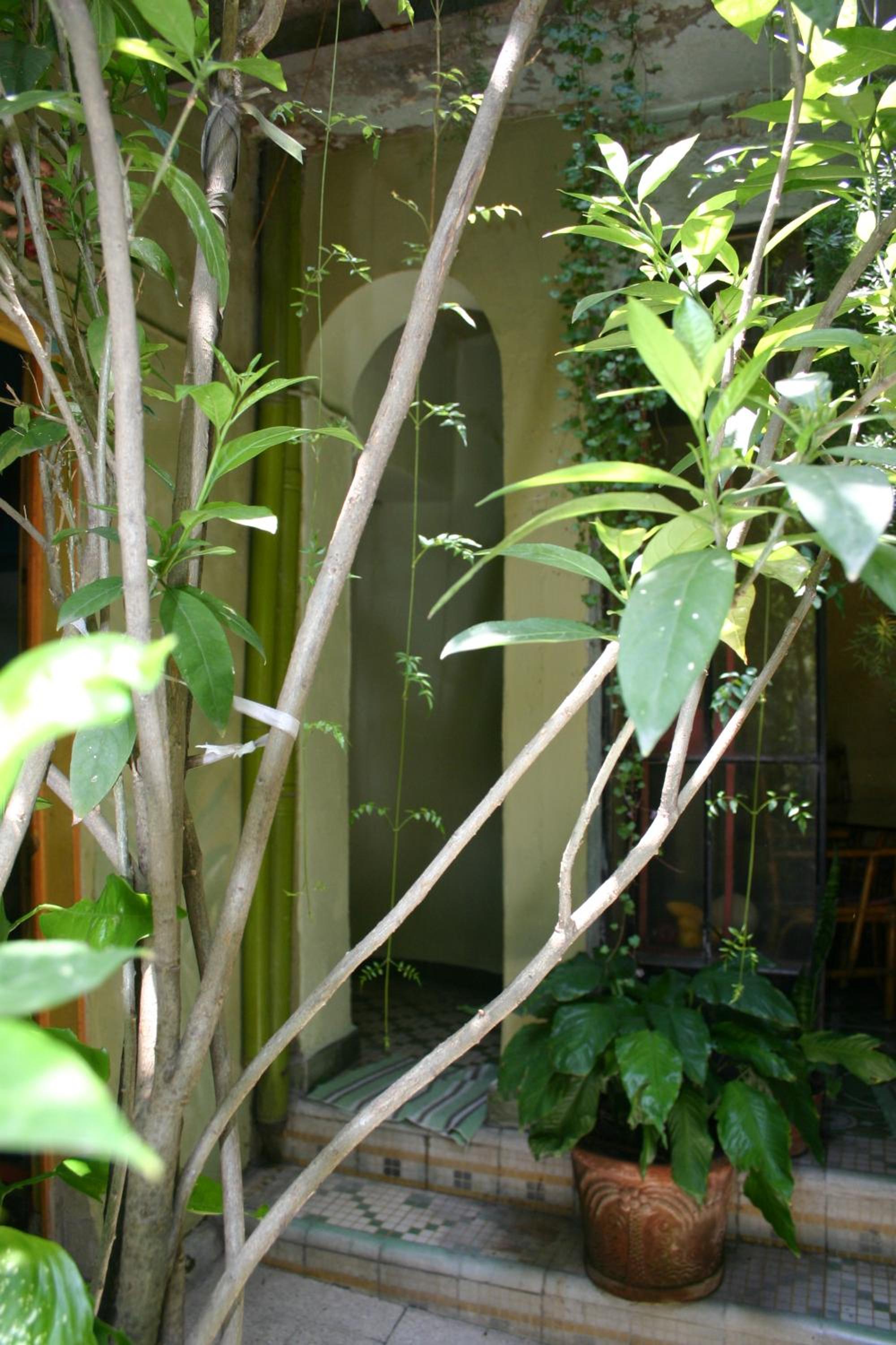 Casa Sally photo 2