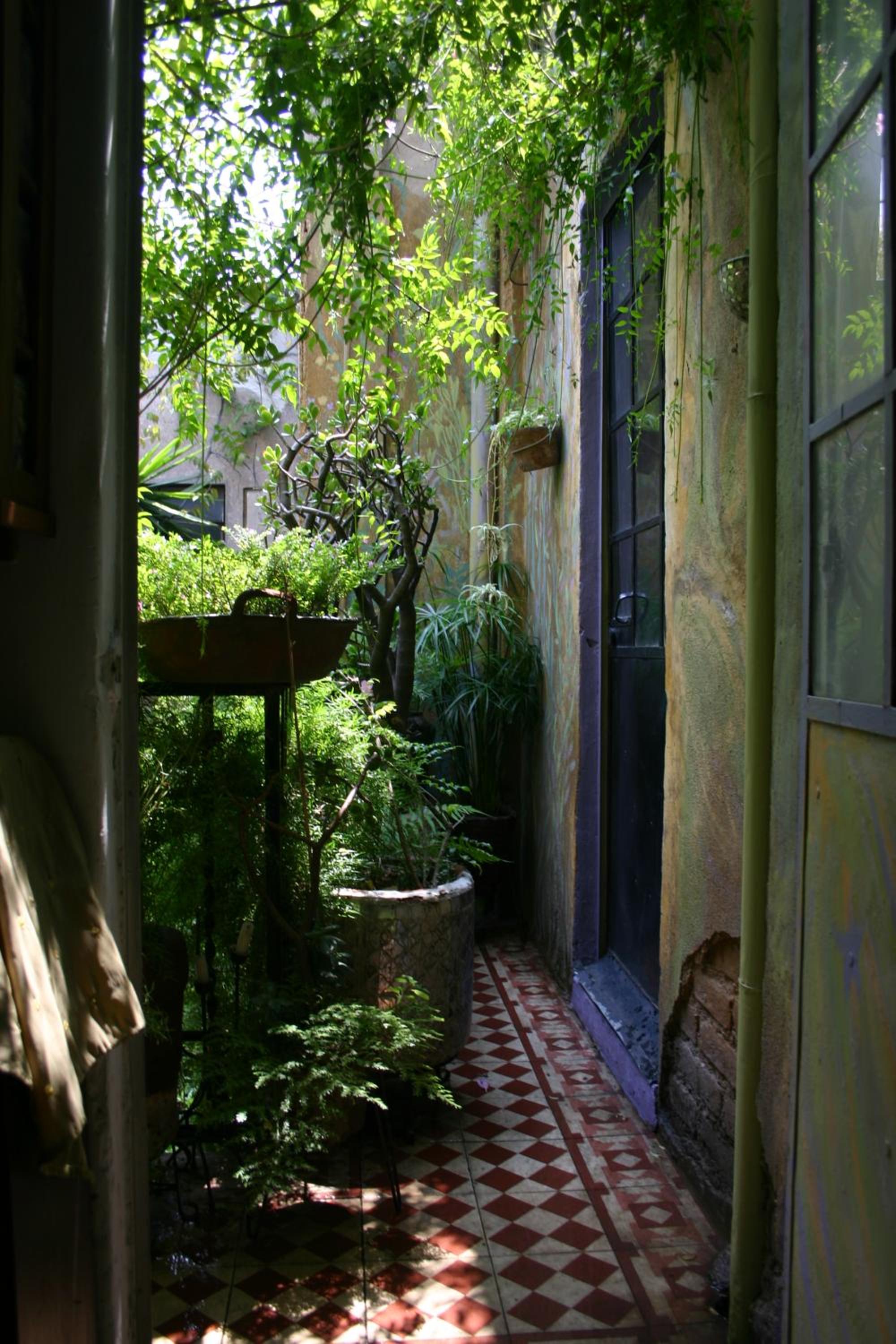 Casa Sally photo 3