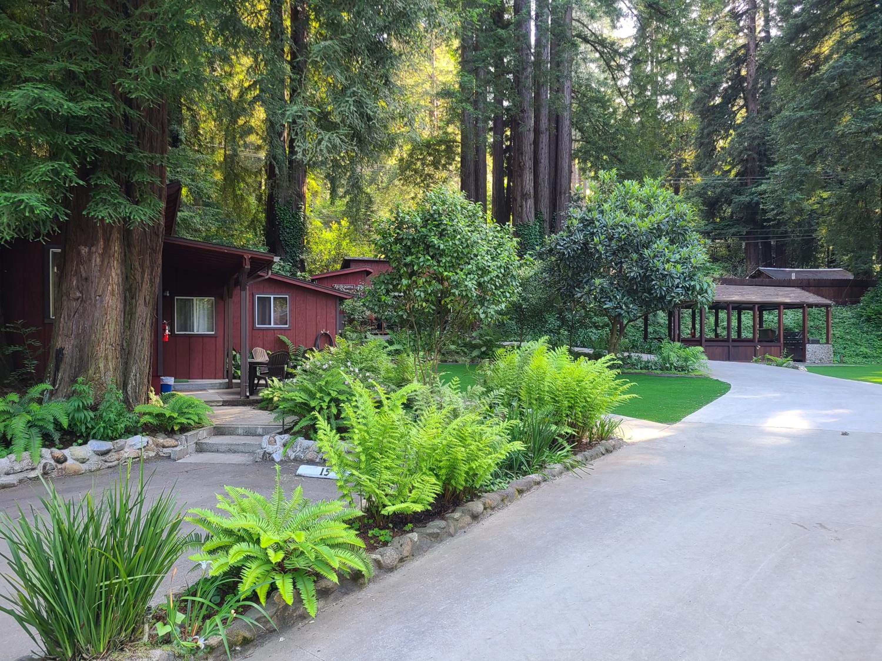 Fern River Resort