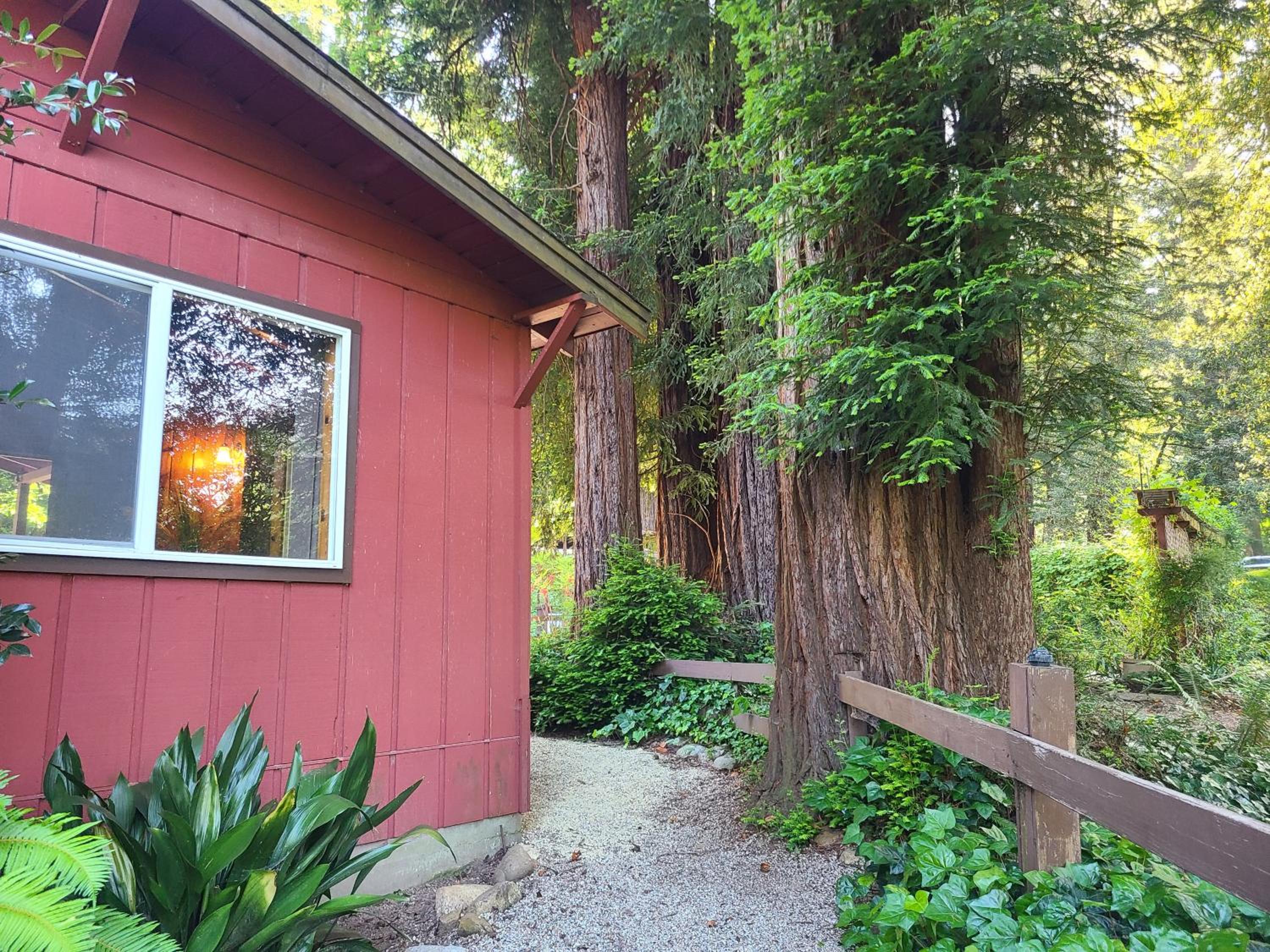 Fern River Resort