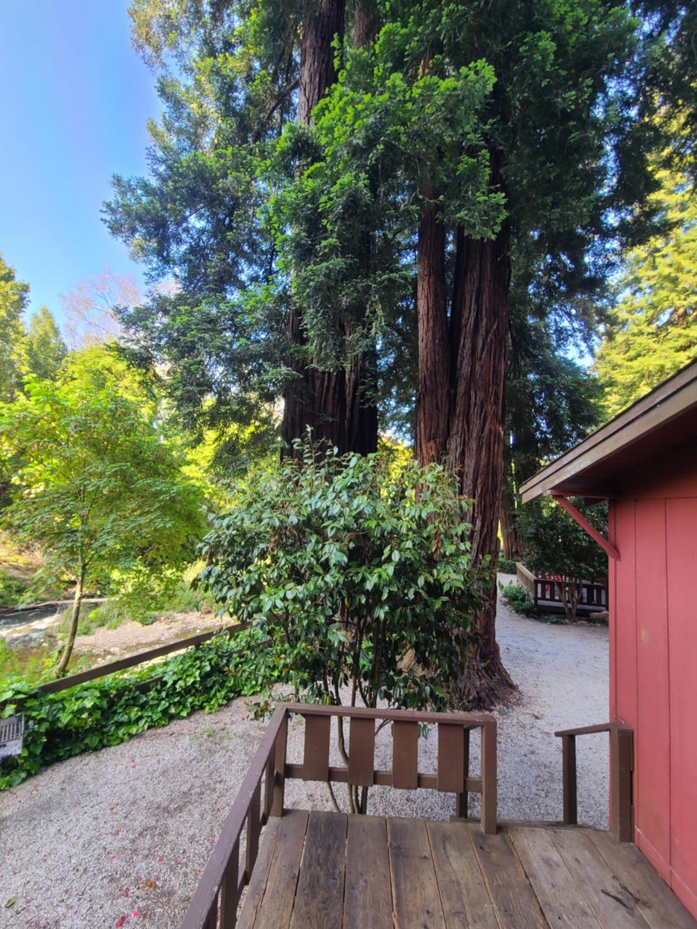 Fern River Resort