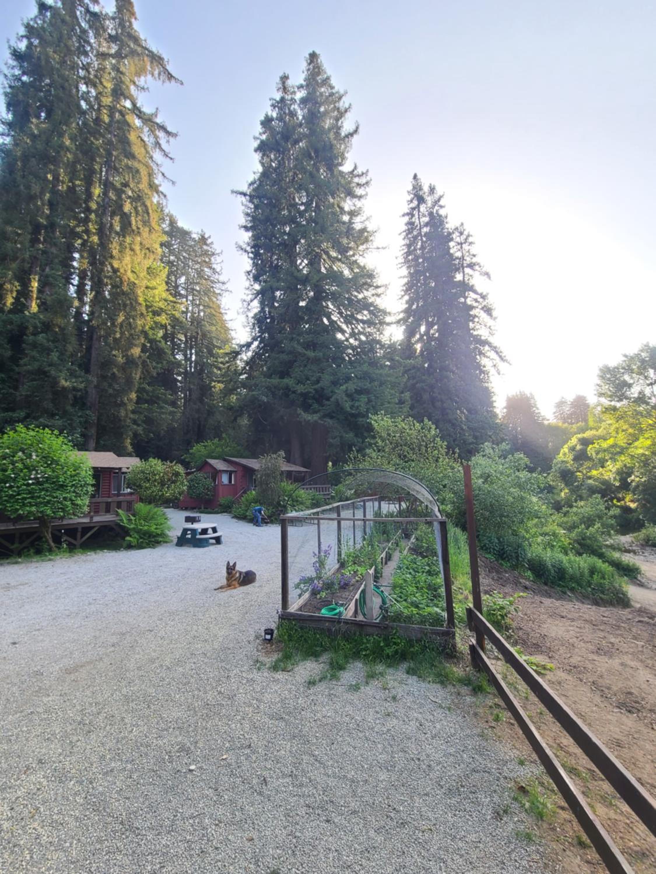 Fern River Resort