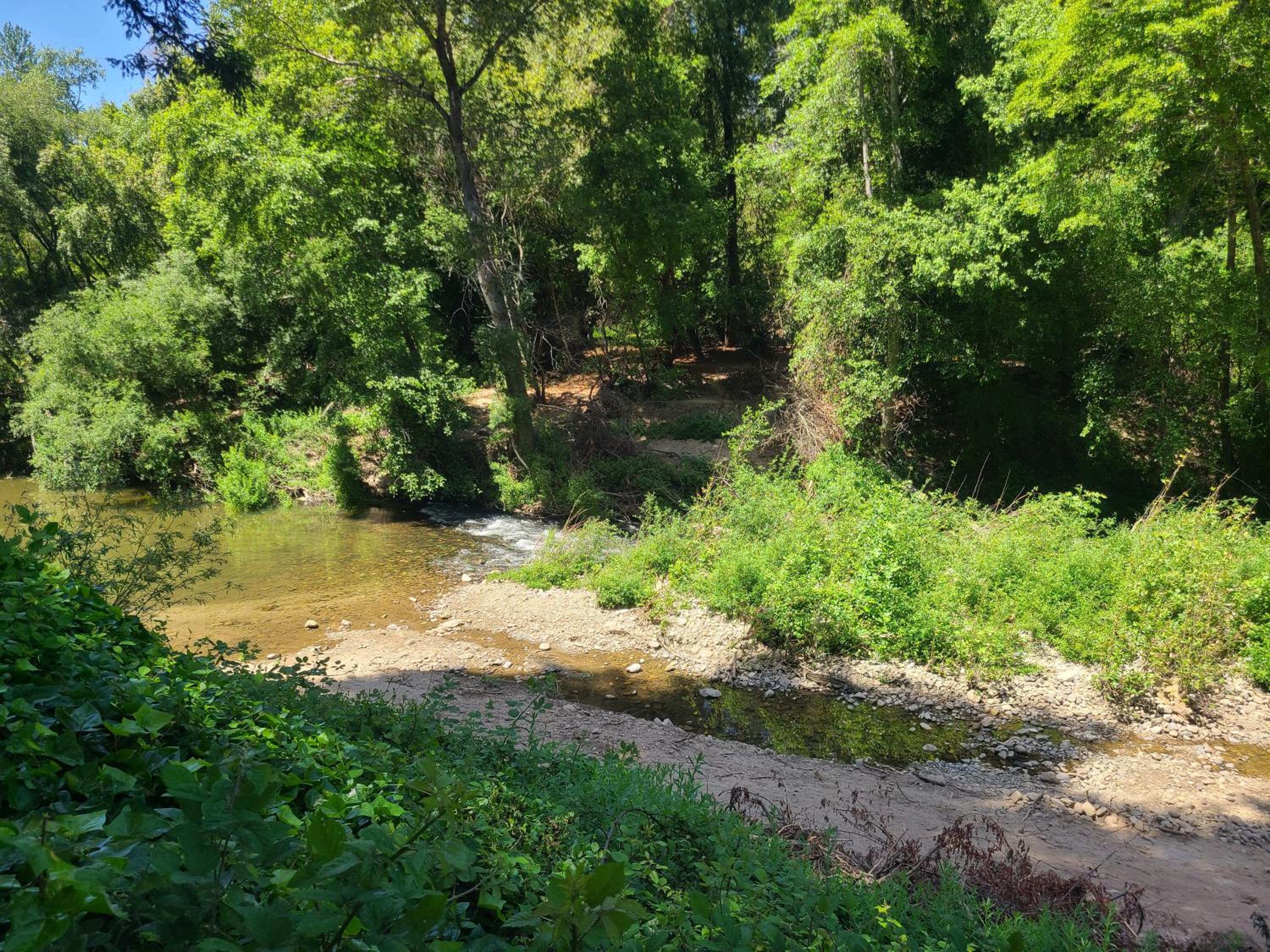Fern River Resort