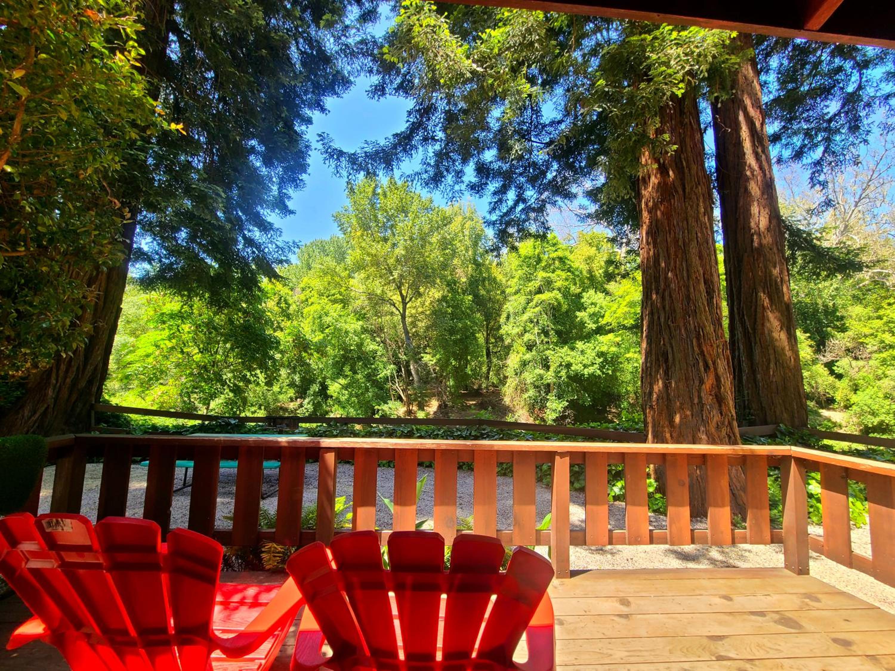 Fern River Resort