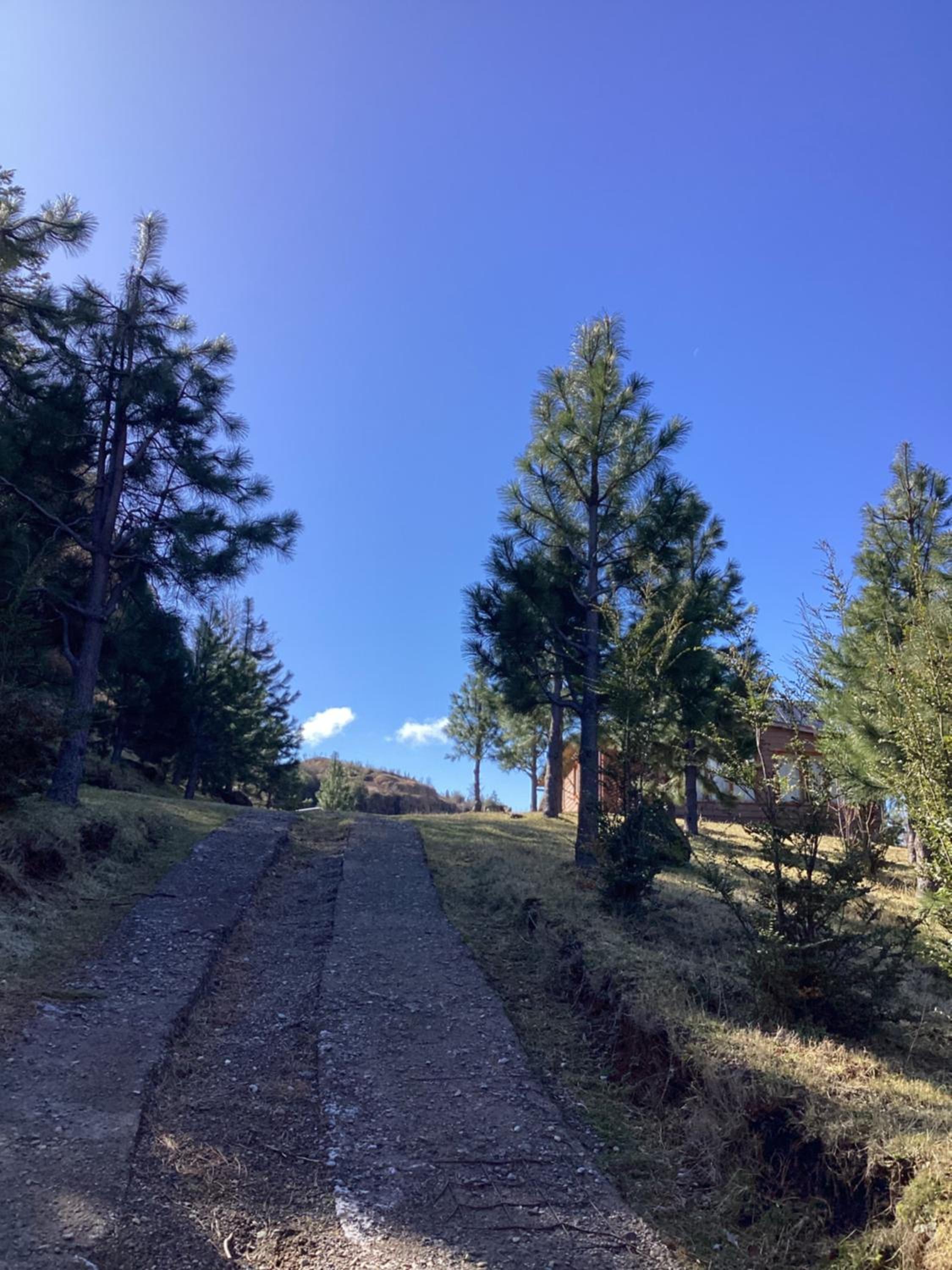 Tierras Altas de la Patagonia-Cabaña grande con acceso al lago