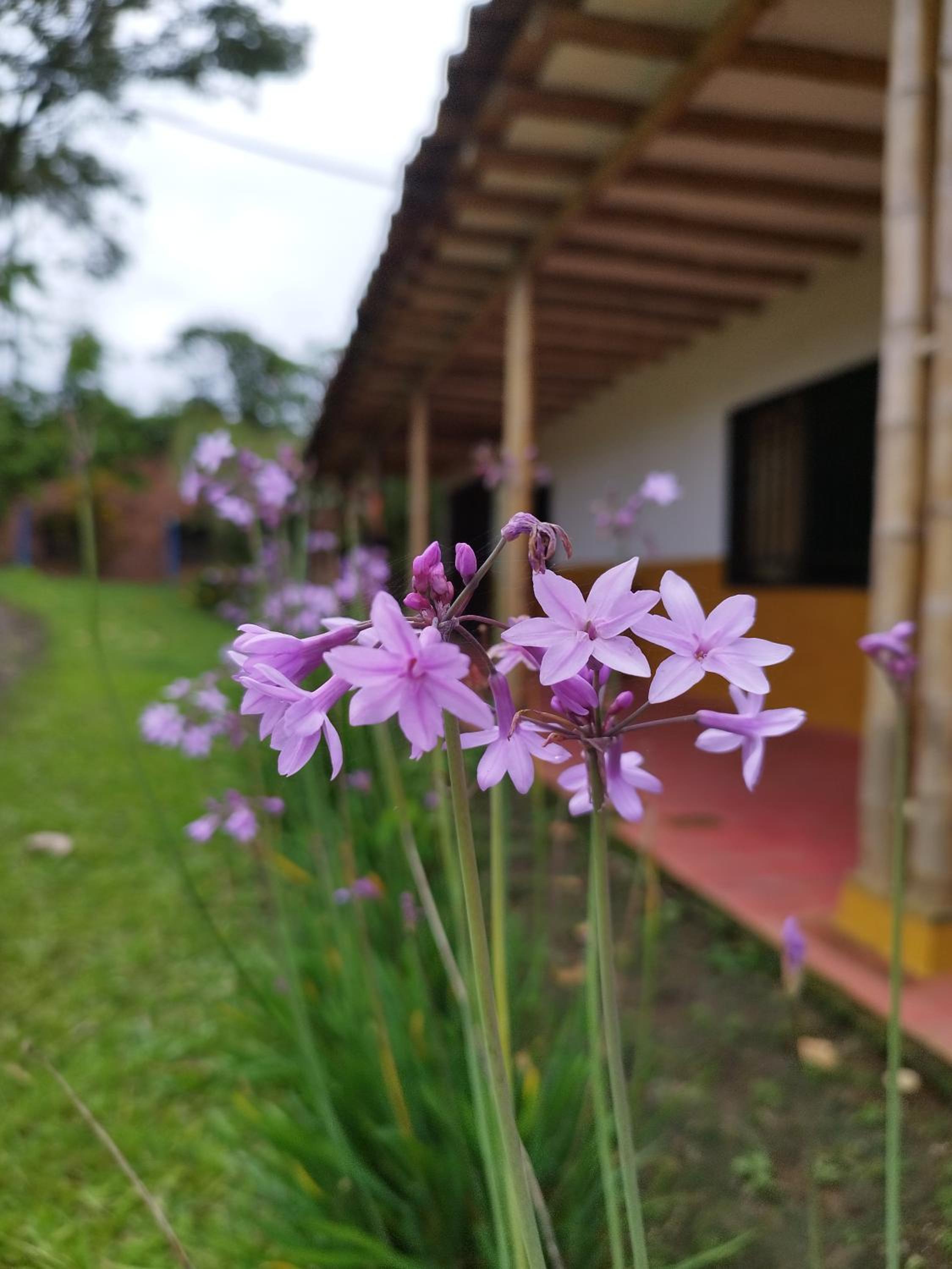 Pinar del Rio Eco Habitación Madera