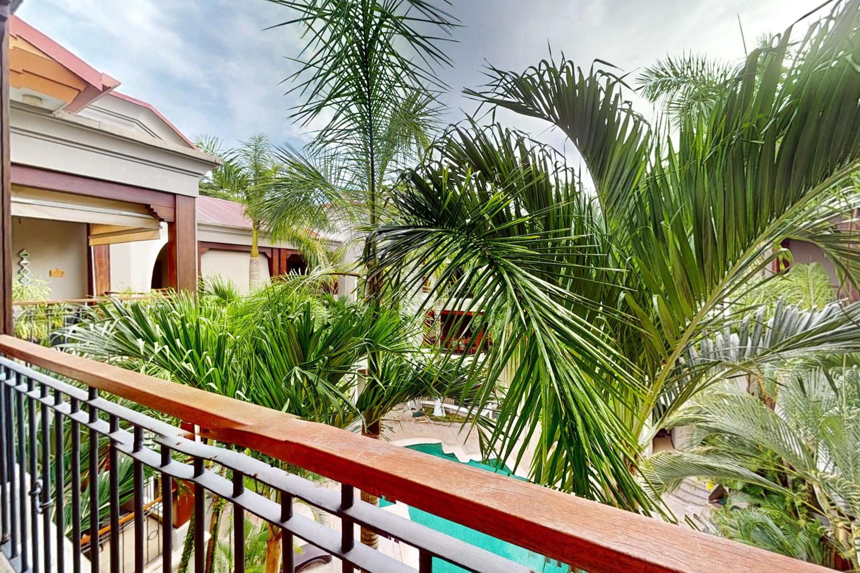 Macaw Oceans Club#20