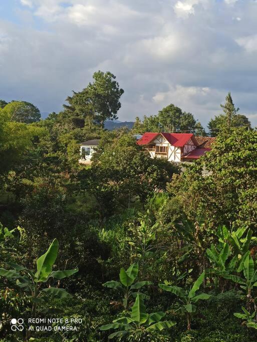 Pinar del Rio Eco Habitación Madera