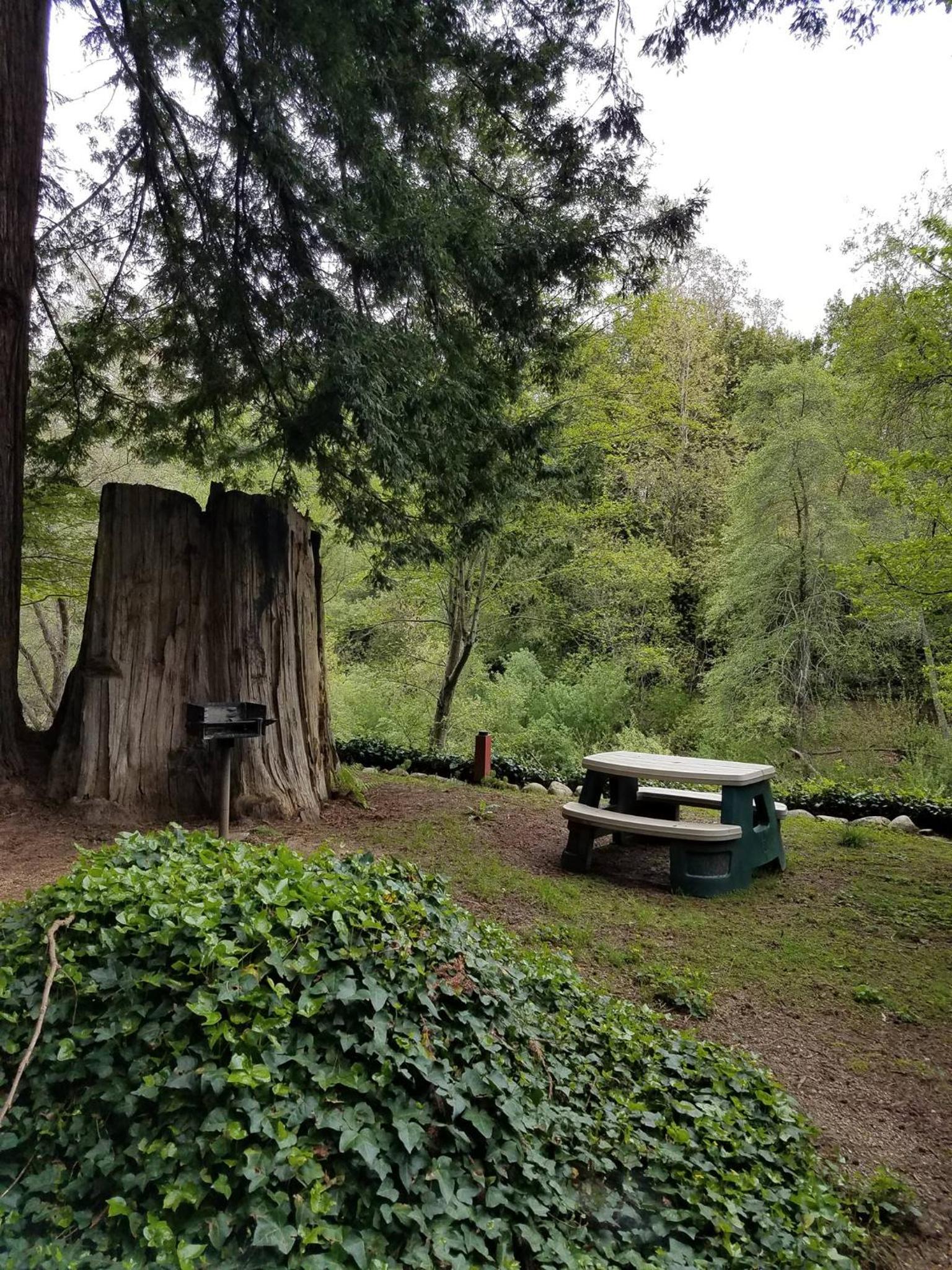 Fern River Resort