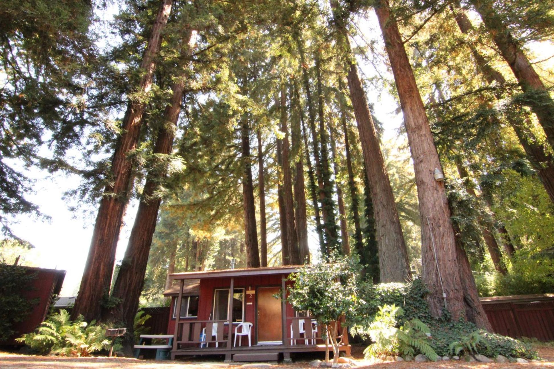 Fern River Resort