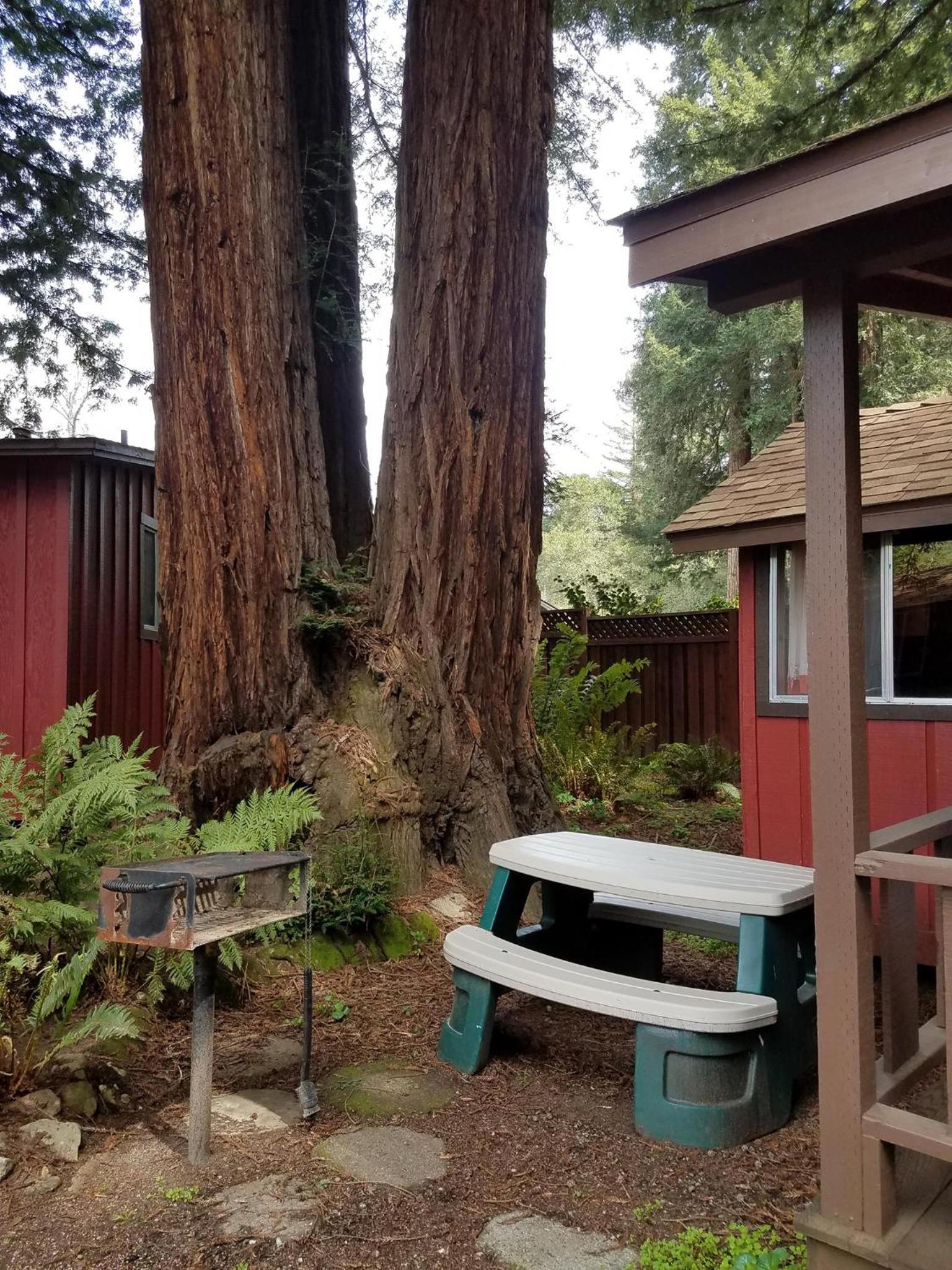 Fern River Resort