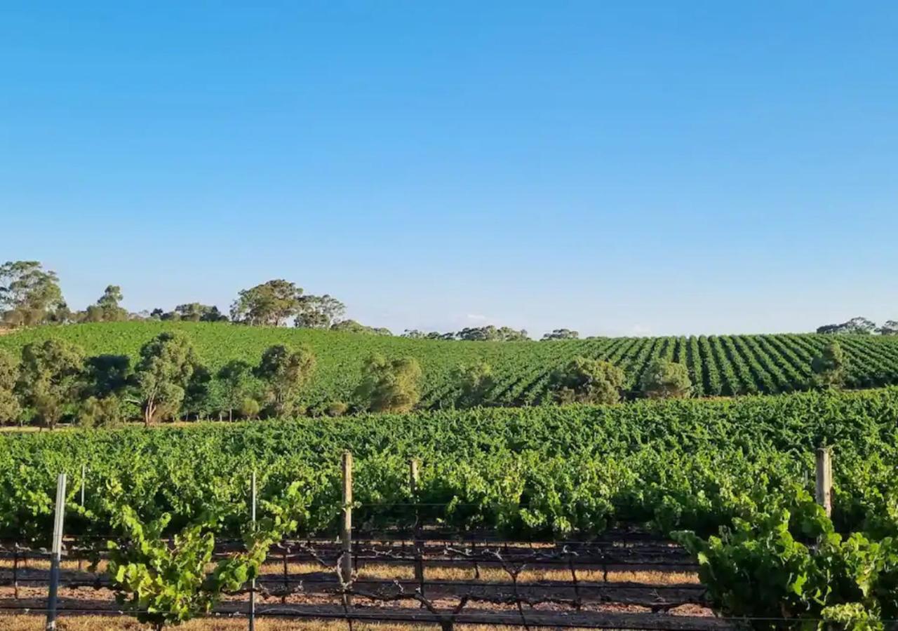 Millon Estate