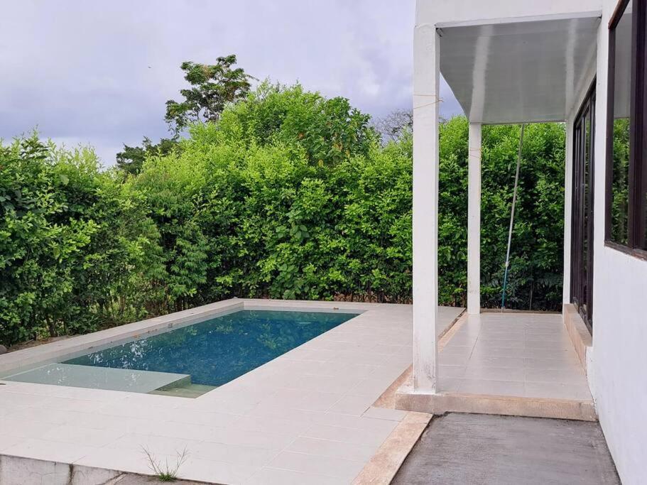 Quinta Palma Roja