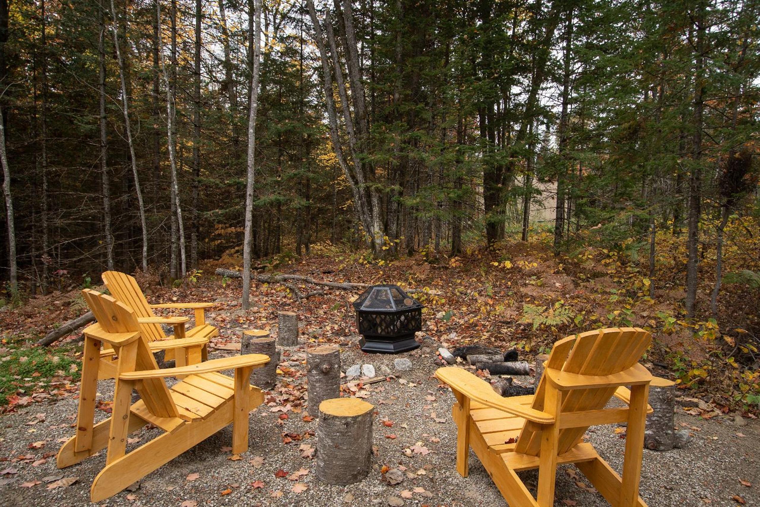 Chalet Oasis du Bois