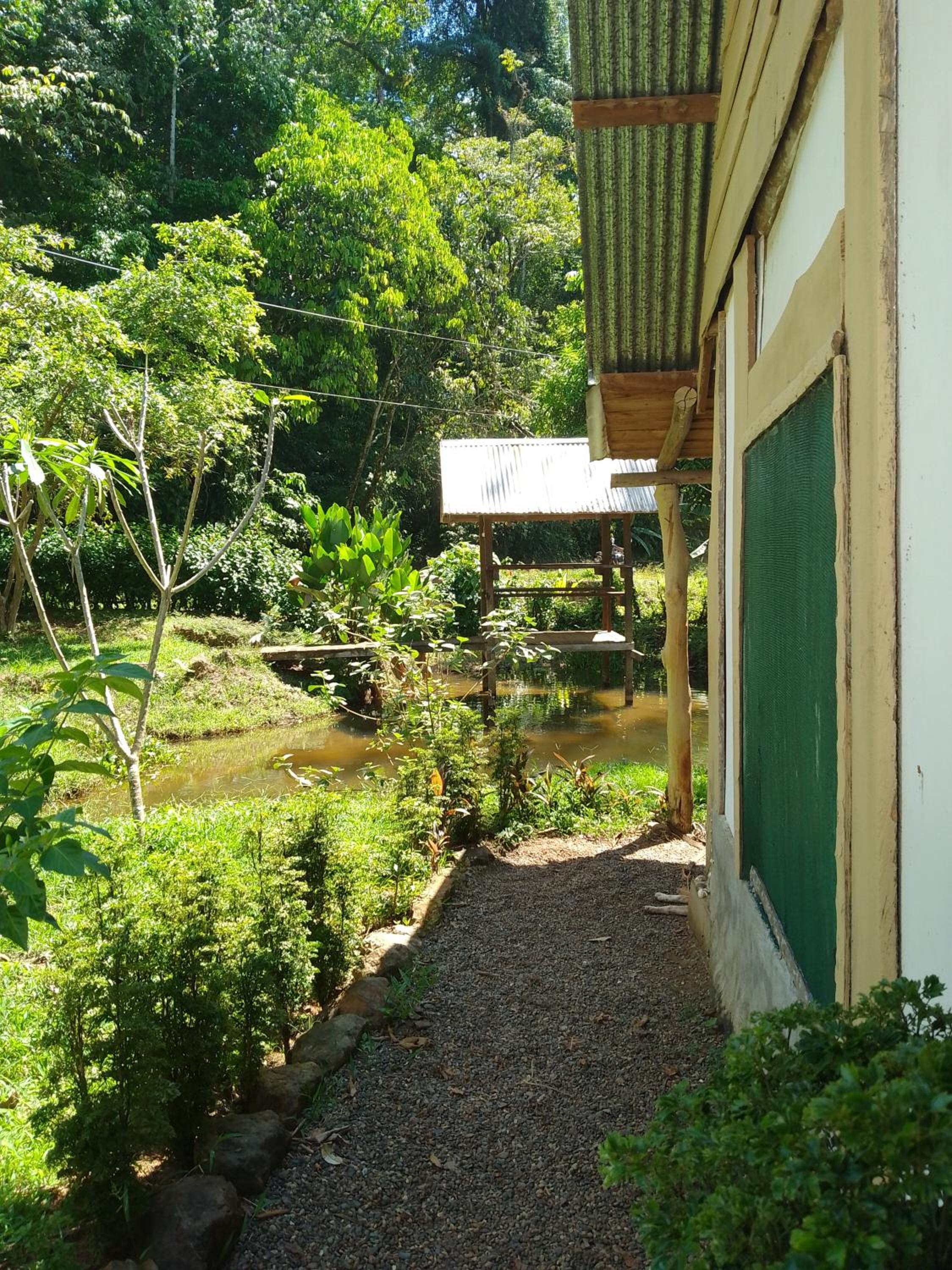 Cabinas jugle jause