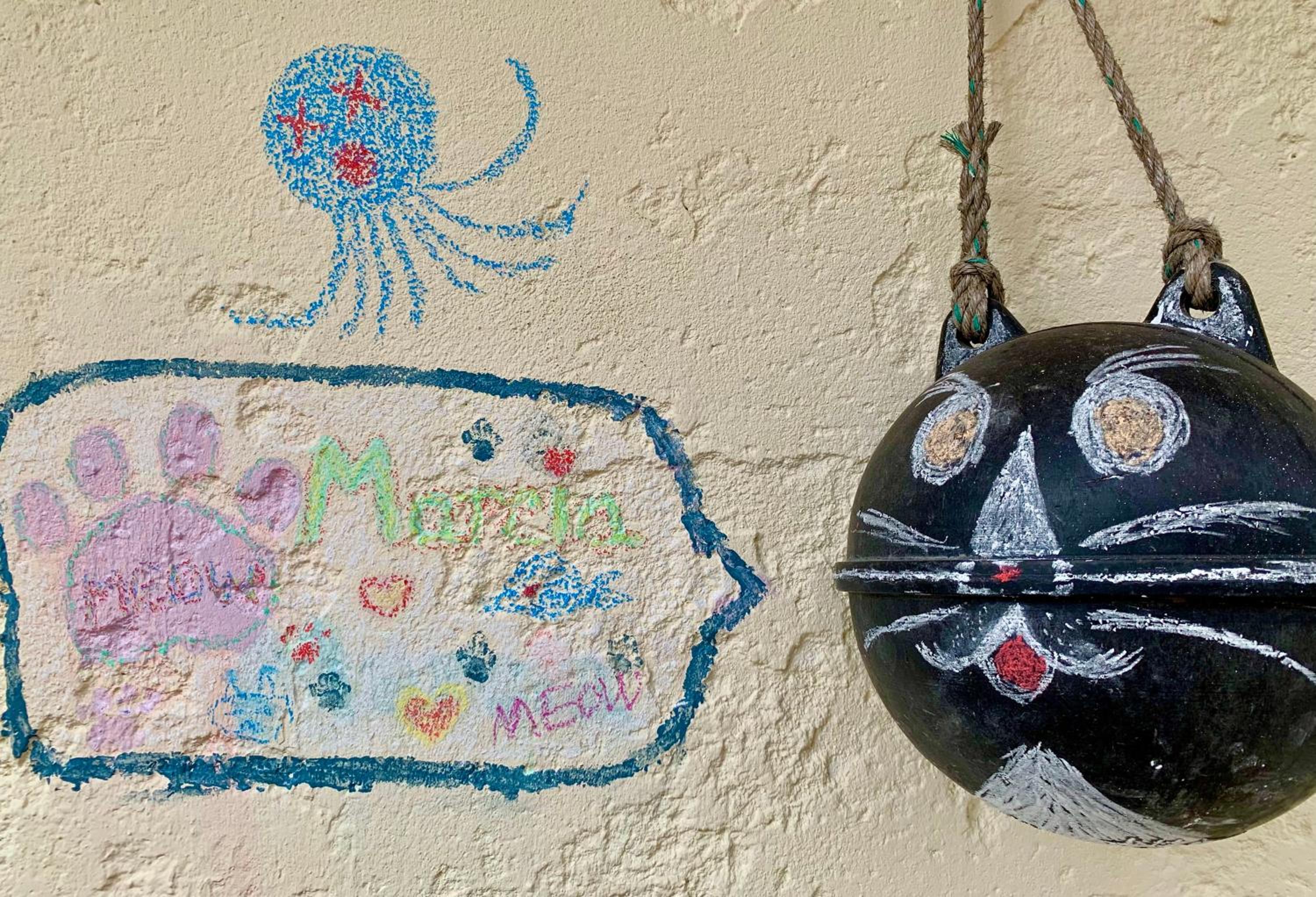 Meow! Marcia Youth Hostel
