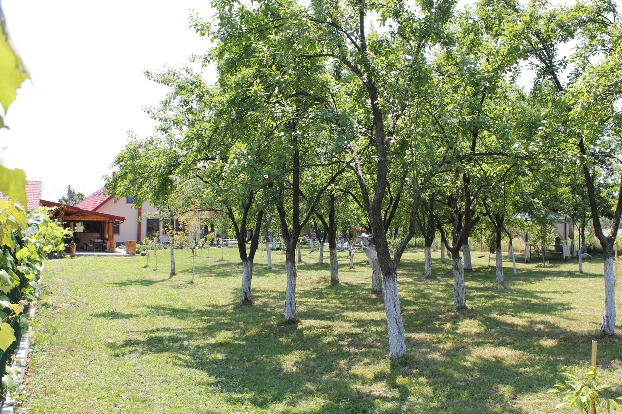 Photo 28
