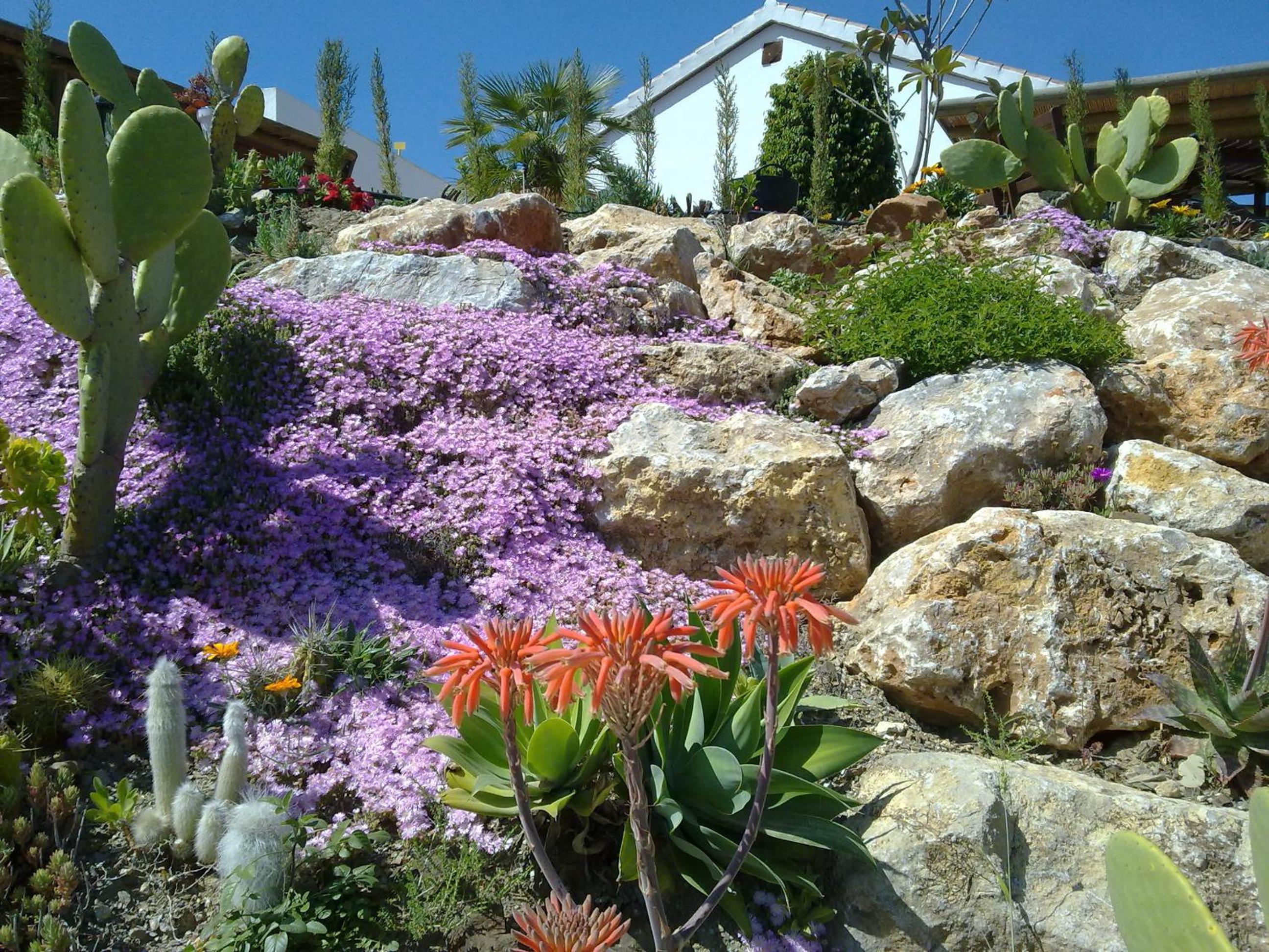 Photo 22