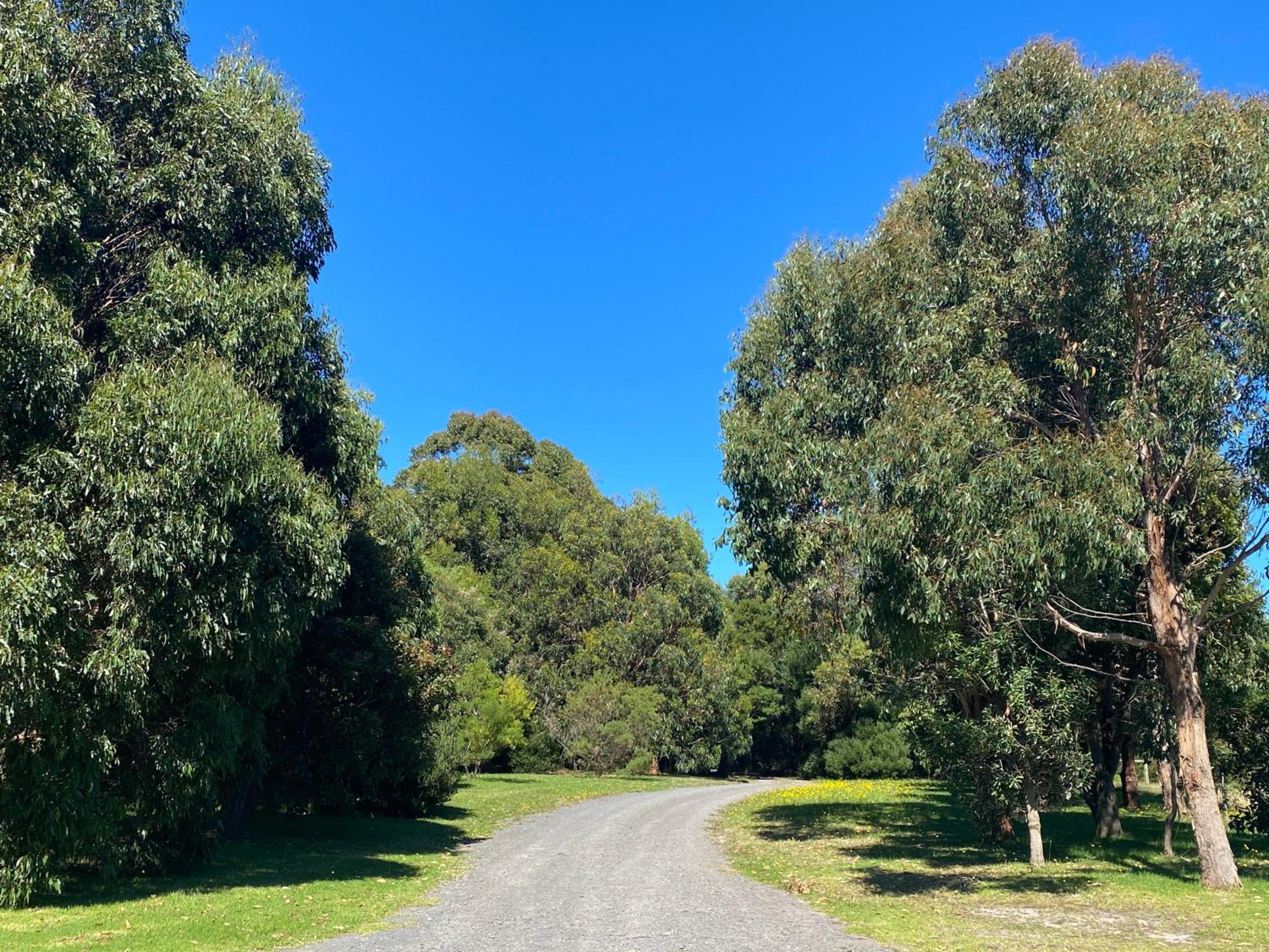 Great Ocean Road Wellness and Nature Stay