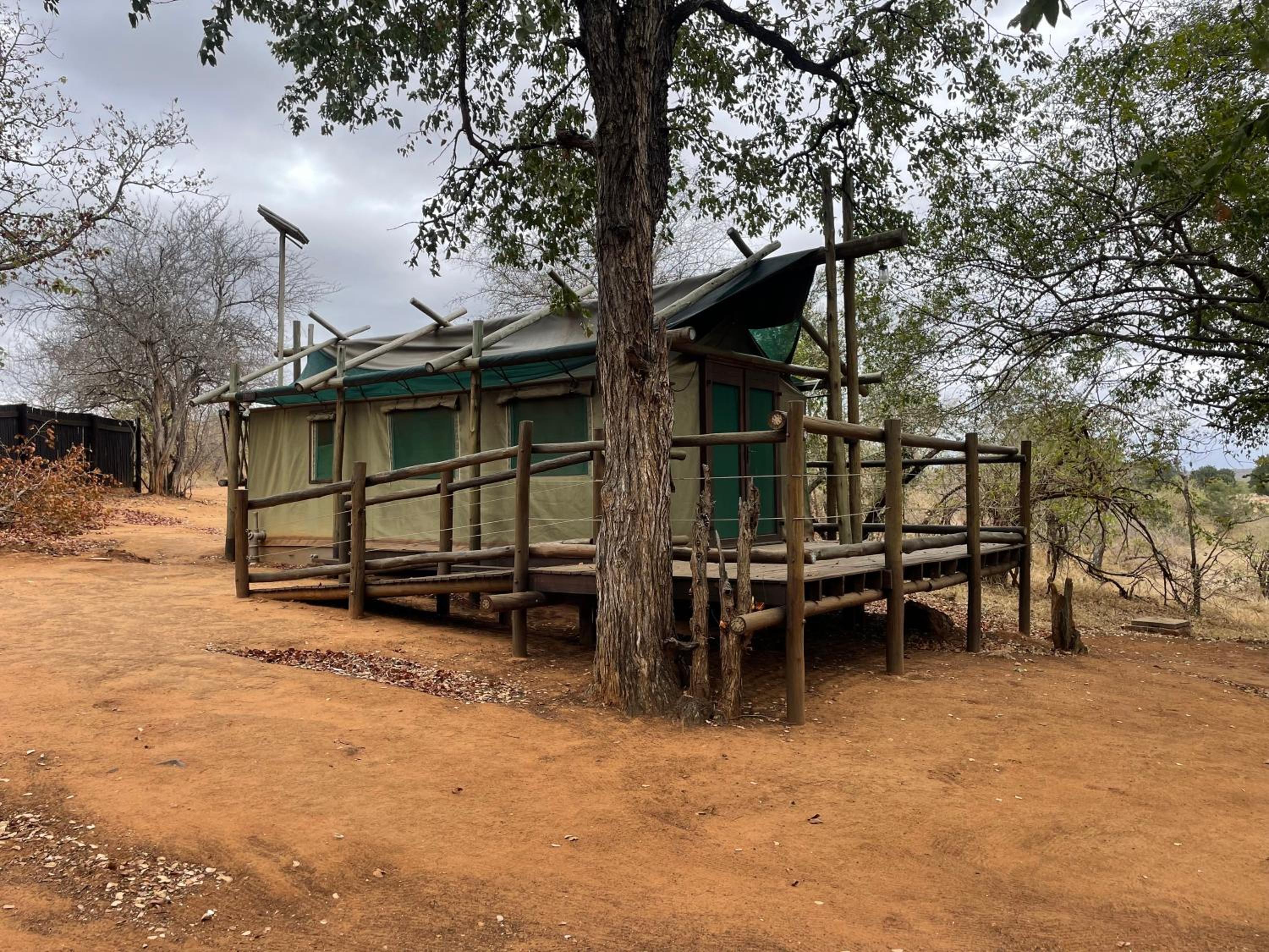 Zambalile @Letaba Ranch view 2