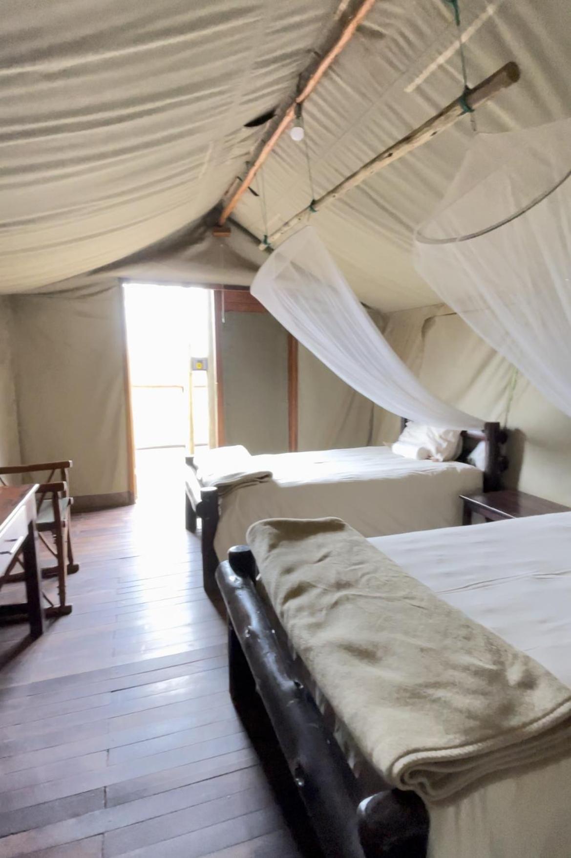 Zambalile @Letaba Ranch view 3