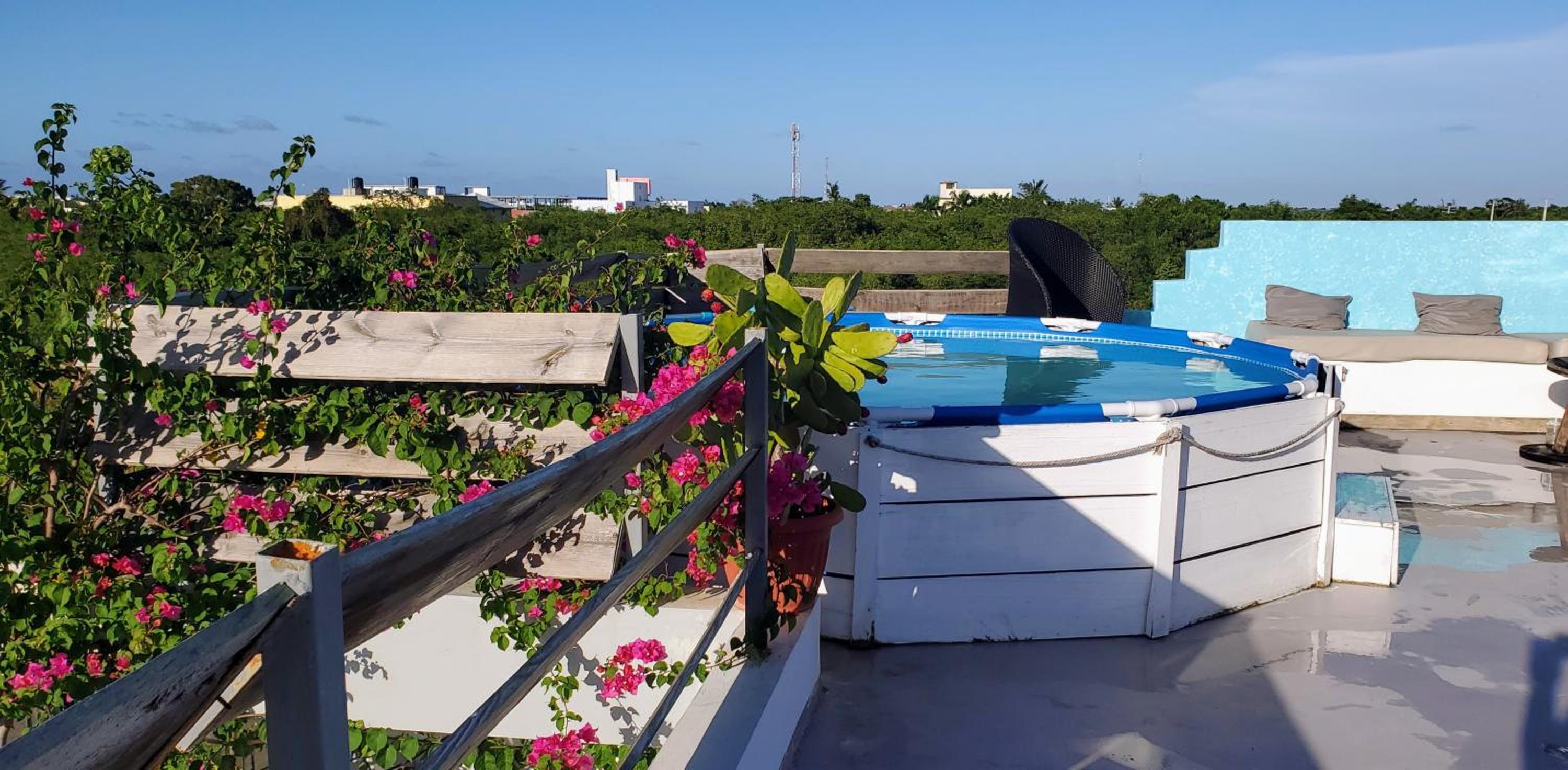 roof