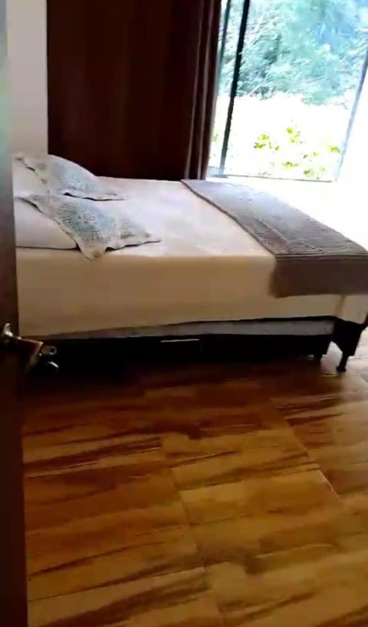 Villa Violeta