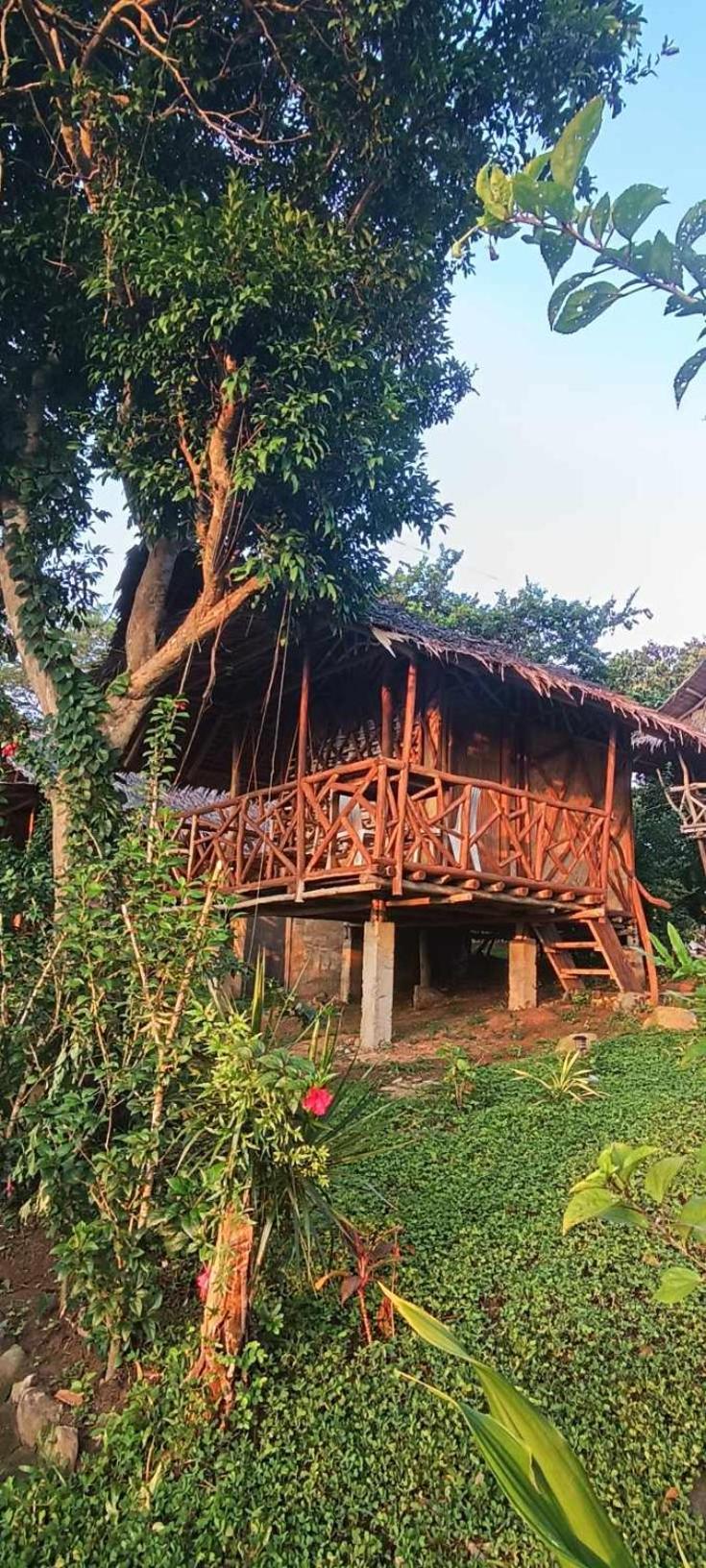 Erlittop Nature Lodge