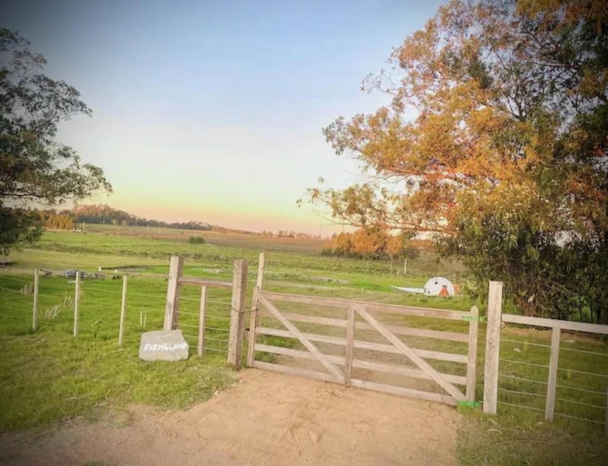 FARMGLAMP